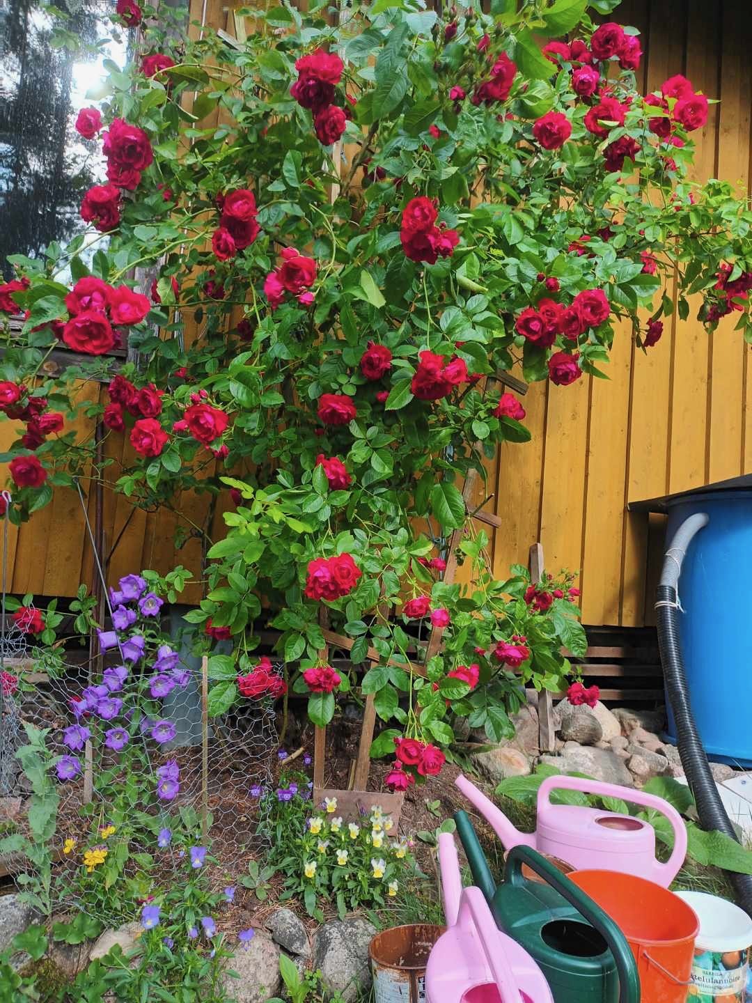 Krupuntie 32, Harvaluoto, Kaarina