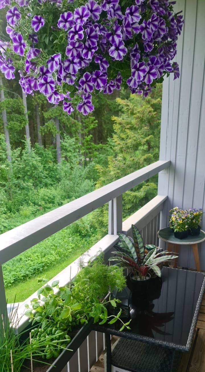 myyjän ottamia kesäkuvia