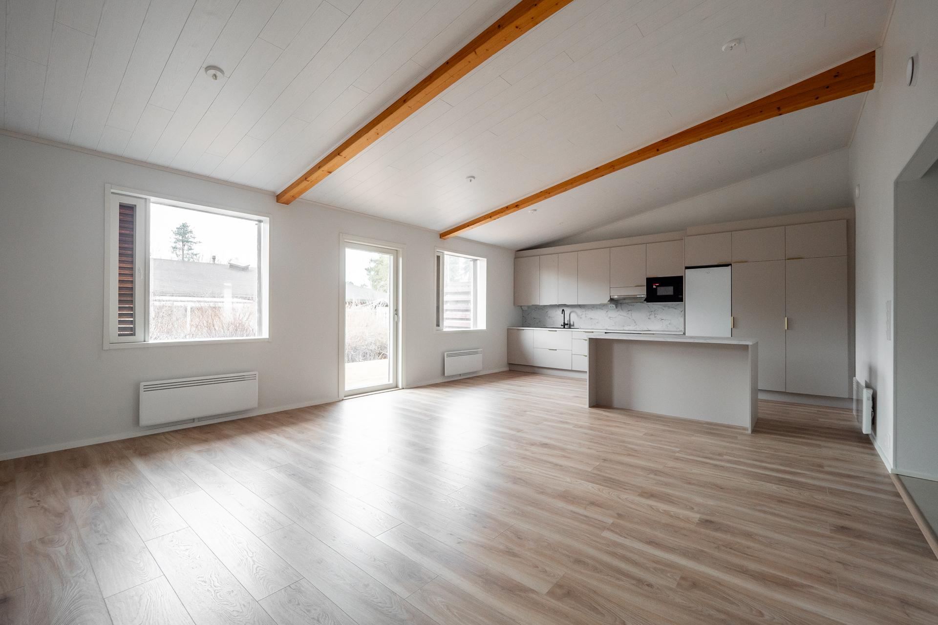 Olohuoneessa korotettu katto