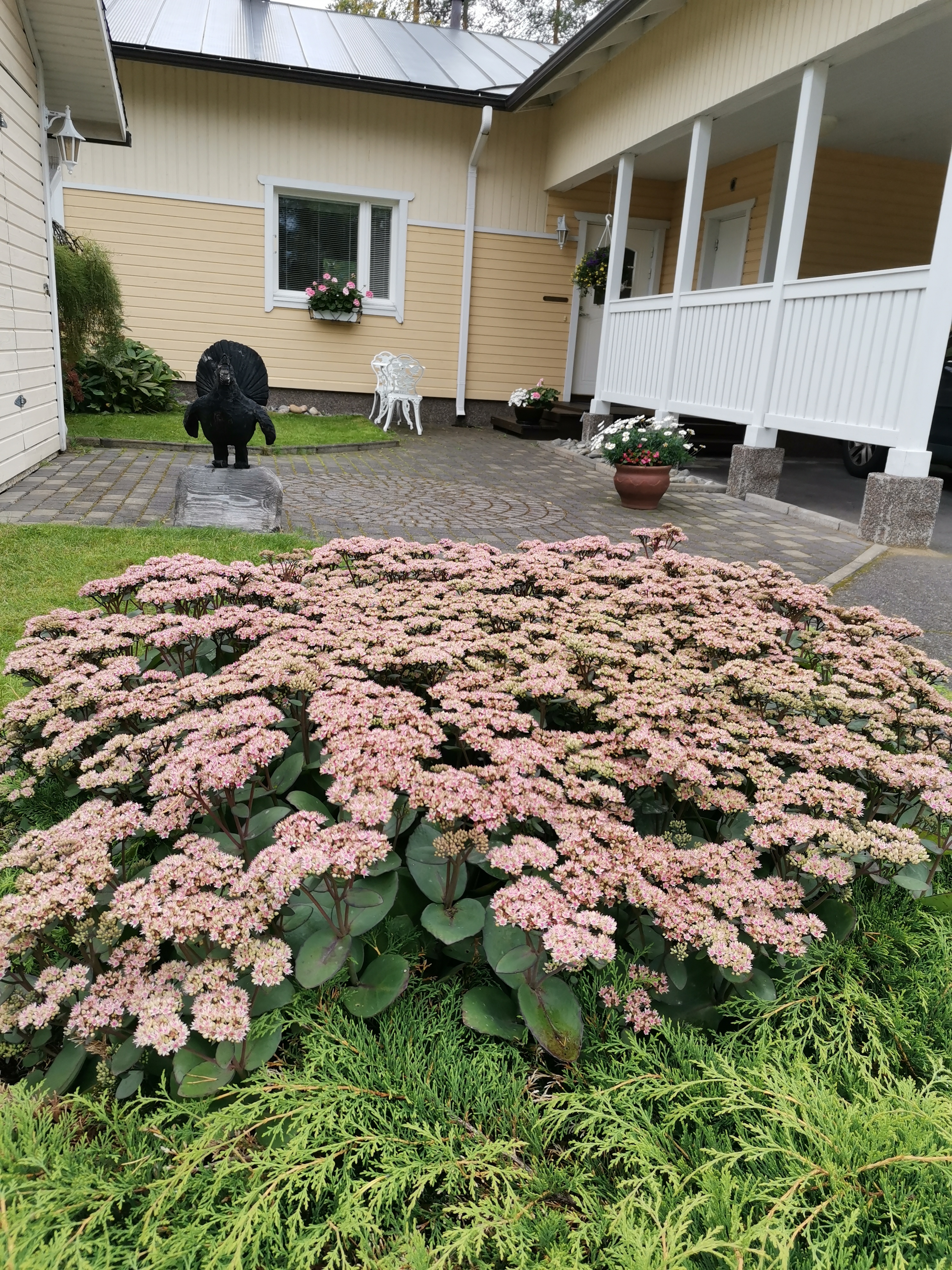 Punostie 1, Lehmo, Kontiolahti