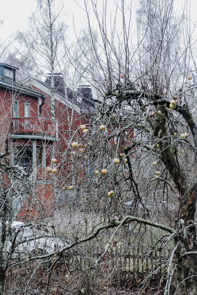 Intiankatu 40, Kumpula, Helsinki