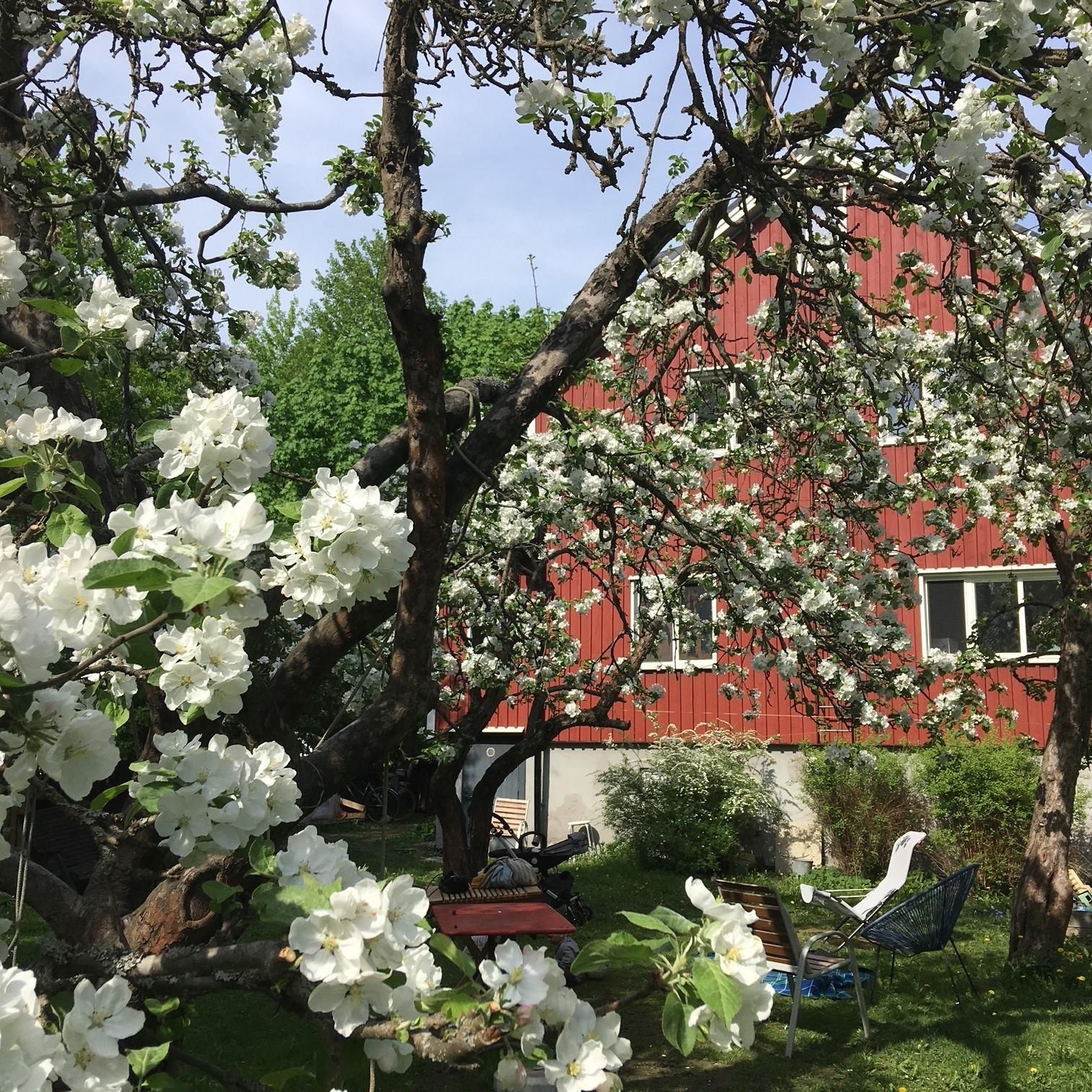 Intiankatu 40, Kumpula, Helsinki