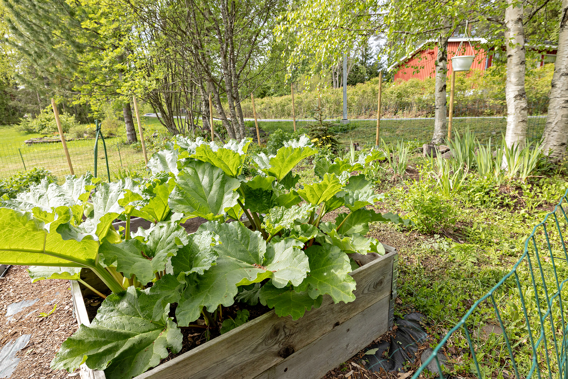 Viitankuja 2, Kiiminki, Oulu