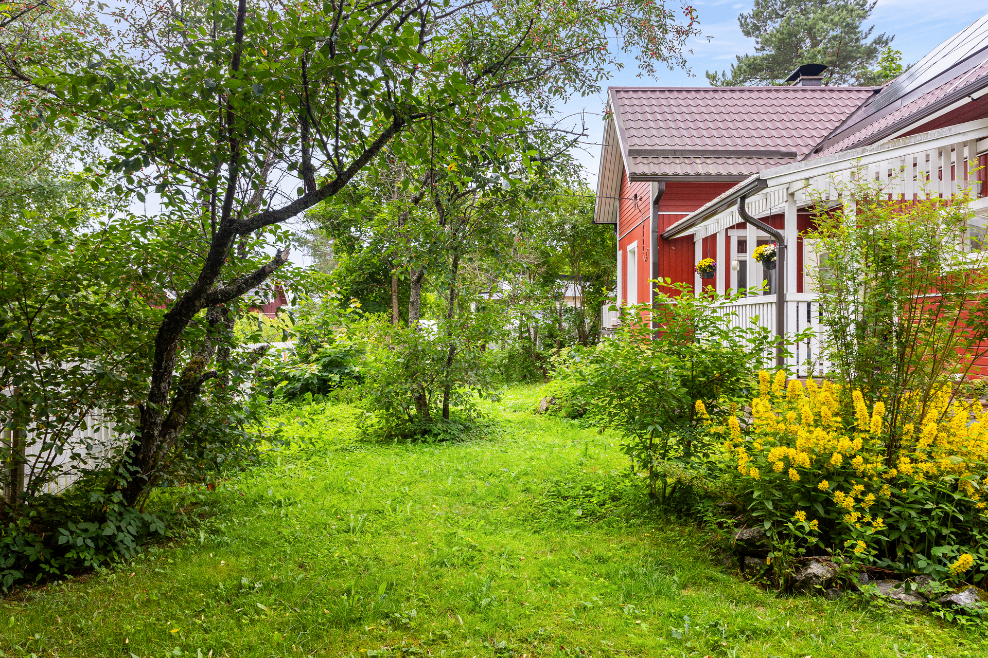 Kesäkuvia