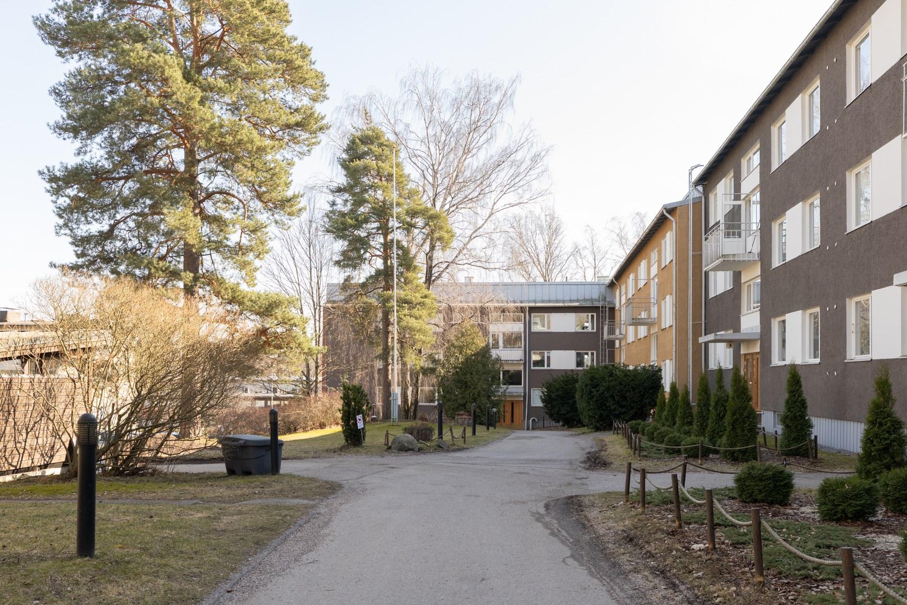 Rushollinpolku 2 piha-aluetta