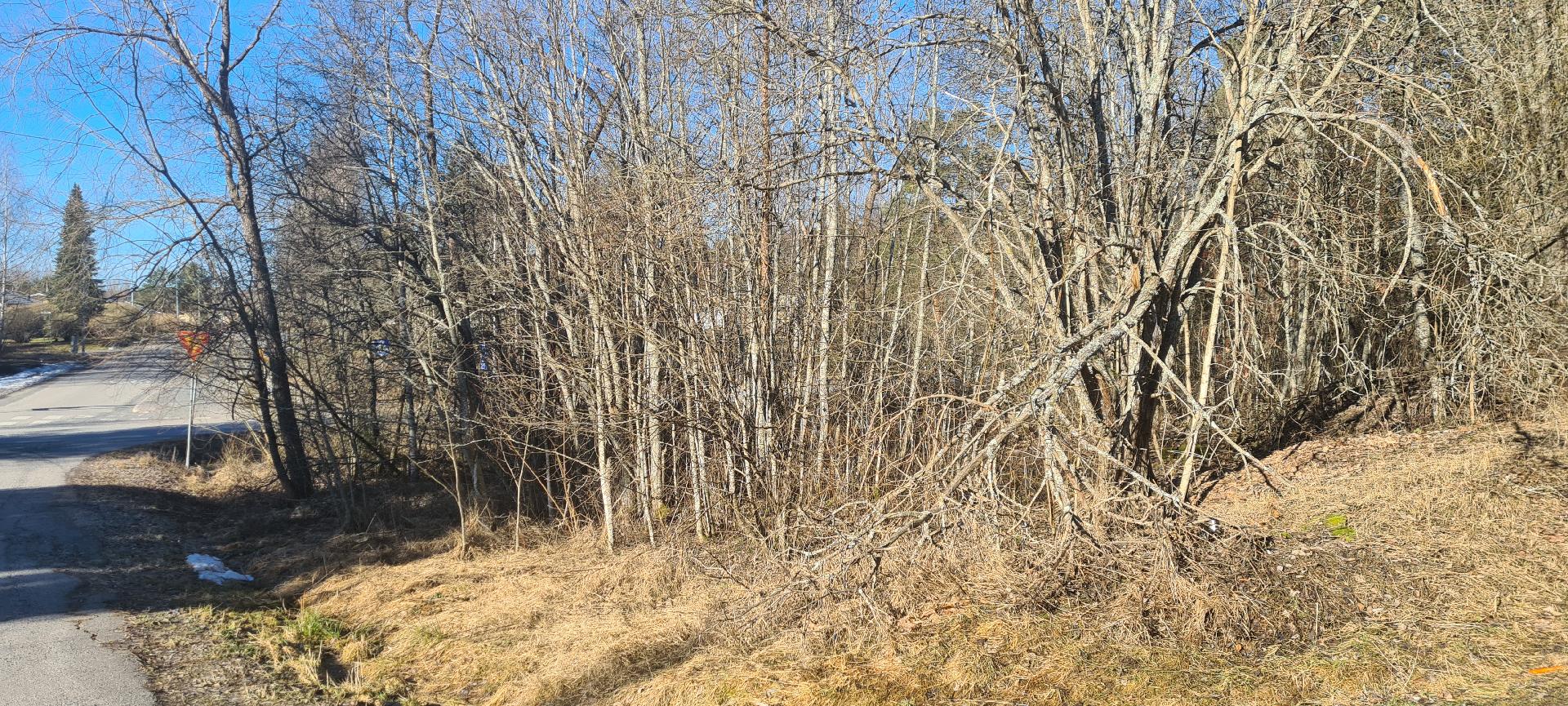 Kaunismäki 2, Kalliola, Hollola