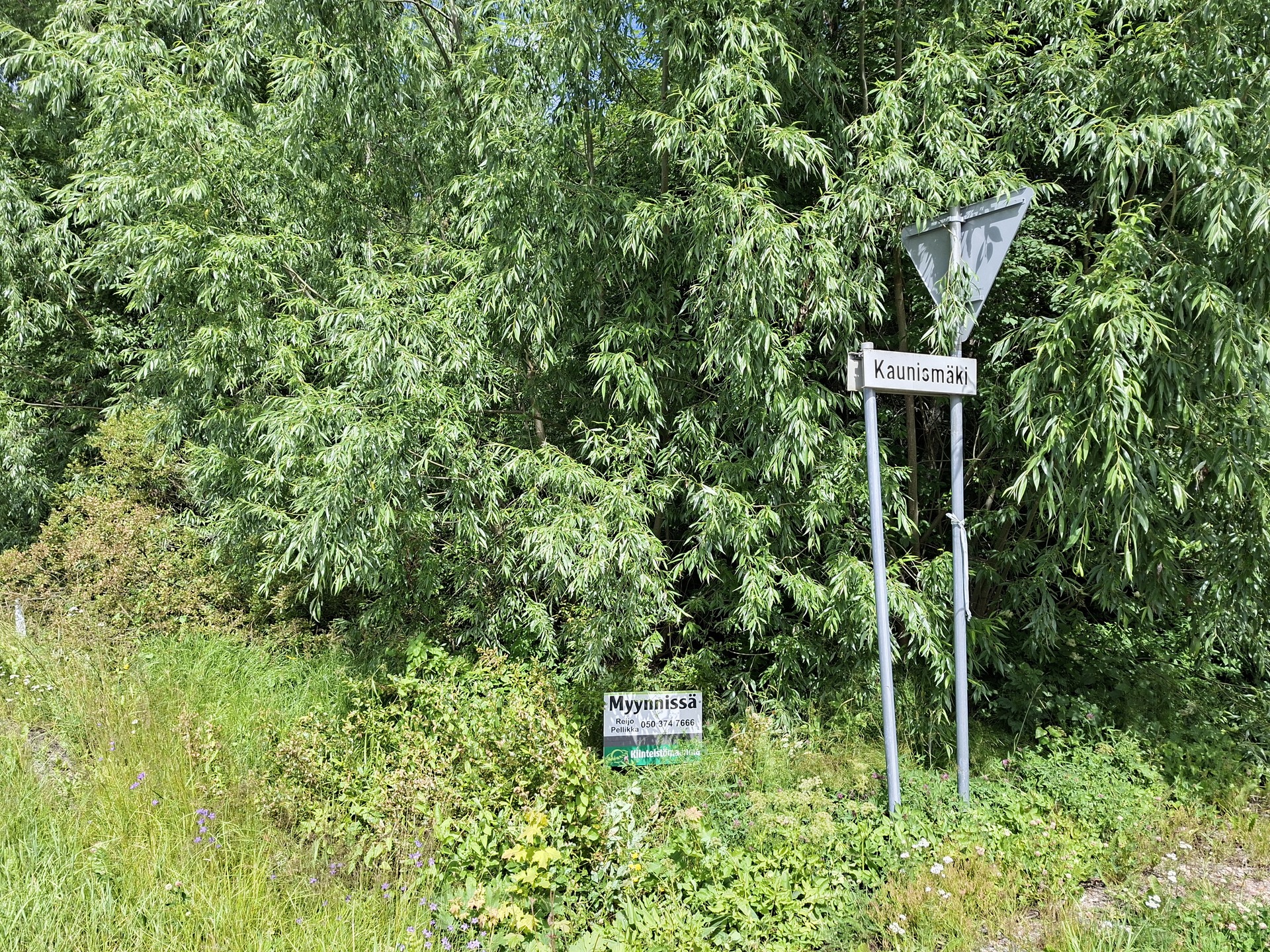 Kaunismäki 2, Kalliola, Hollola