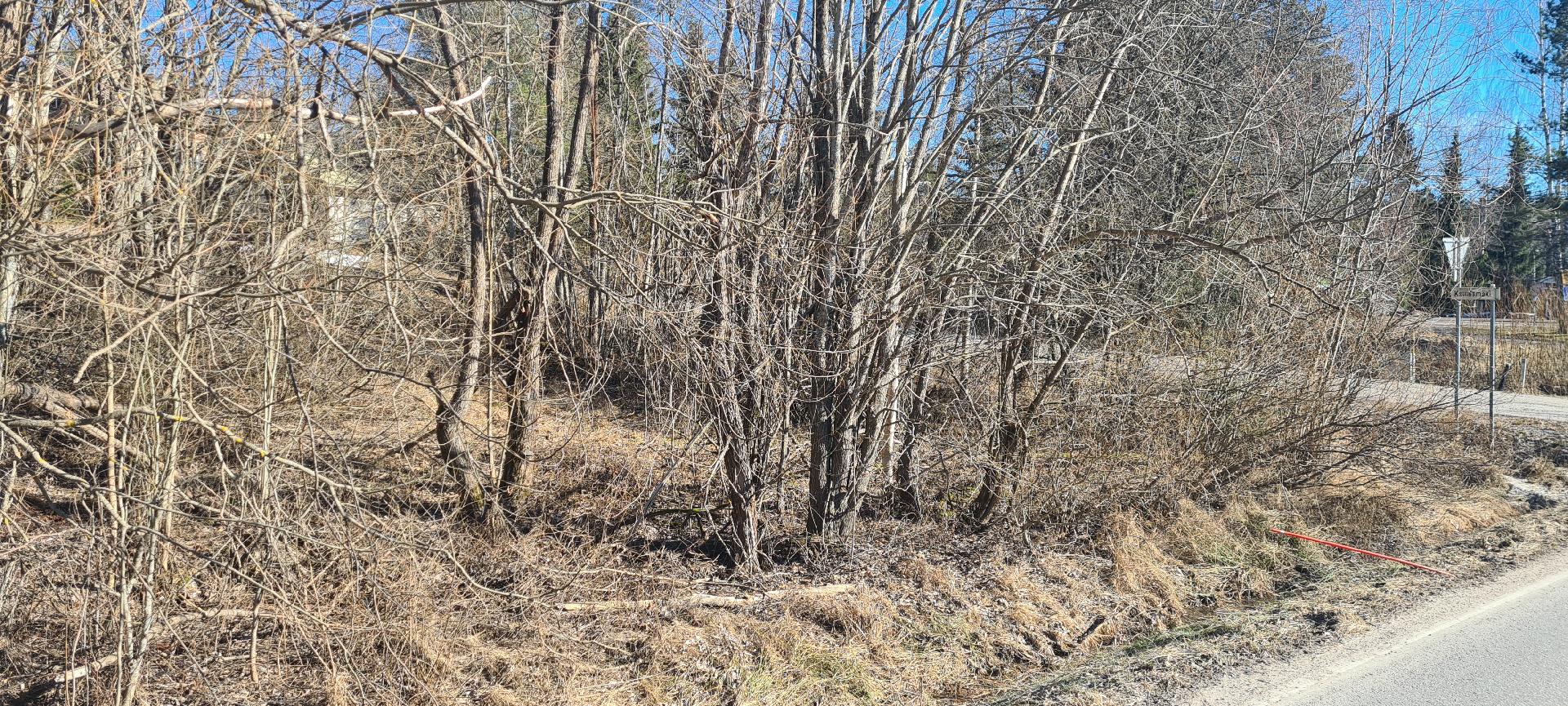 Kaunismäki 2, Kalliola, Hollola