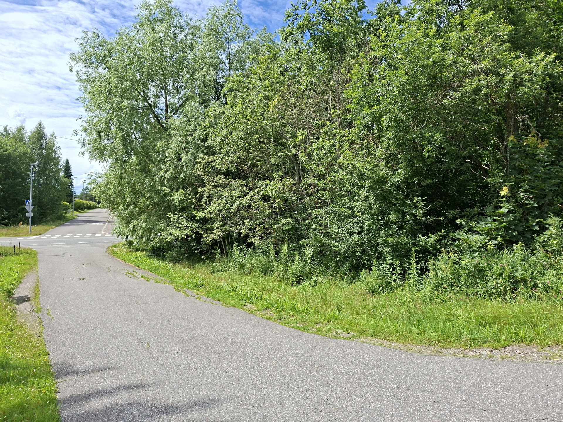 Kaunismäki 2, Kalliola, Hollola