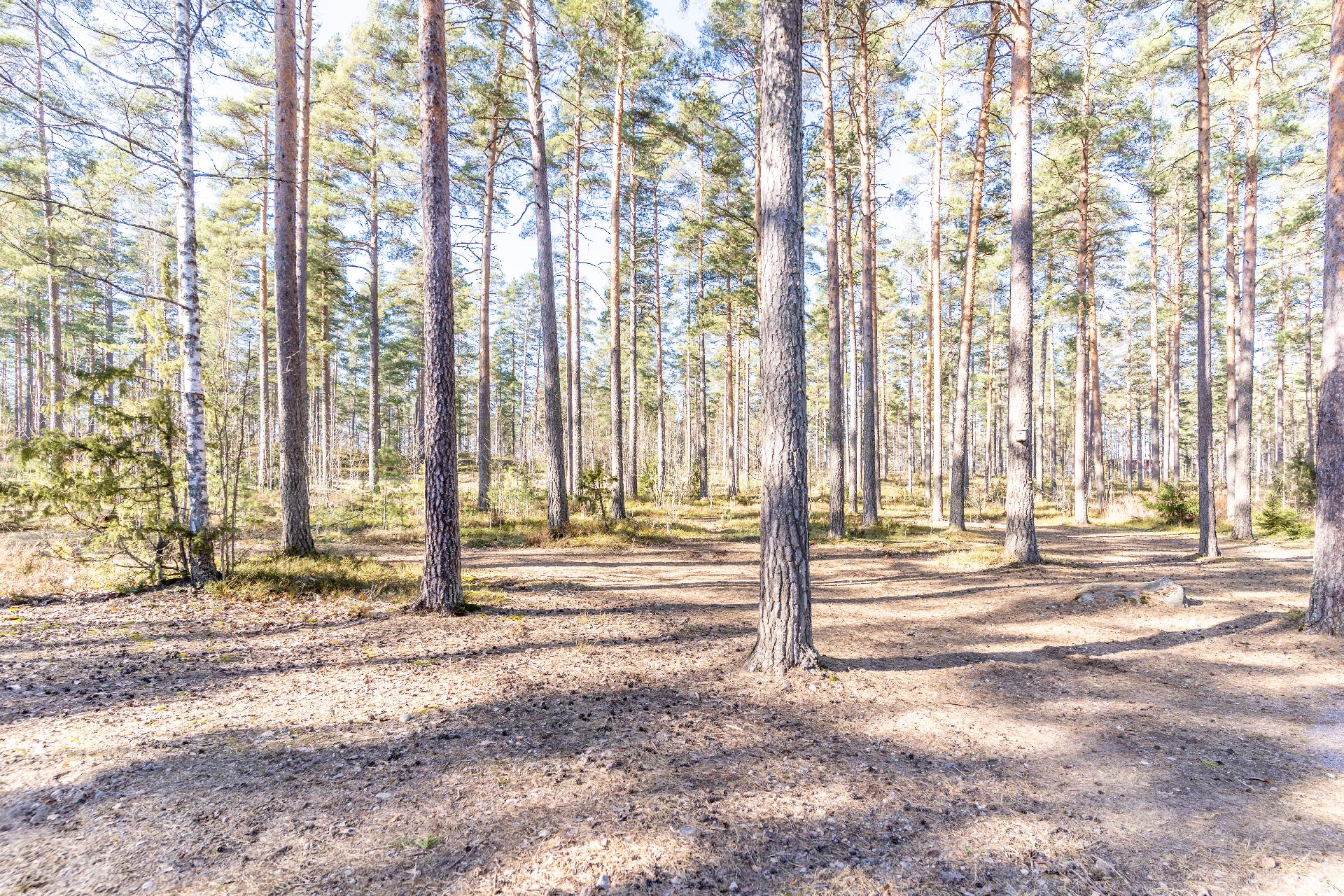 Liitokuja 4, Nummela, Vihti