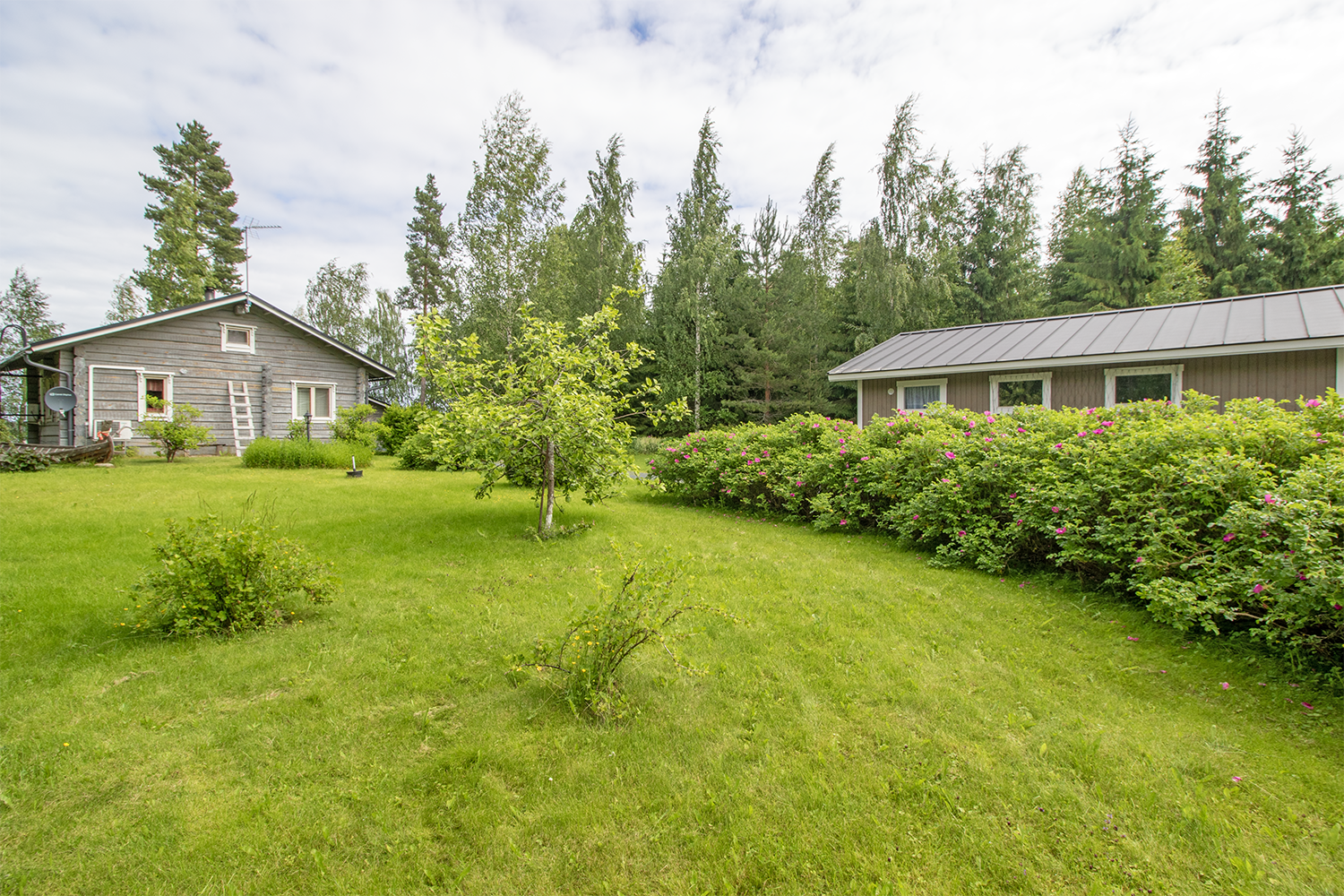 Käänninniementie 810, Onkivesi, Maaninka