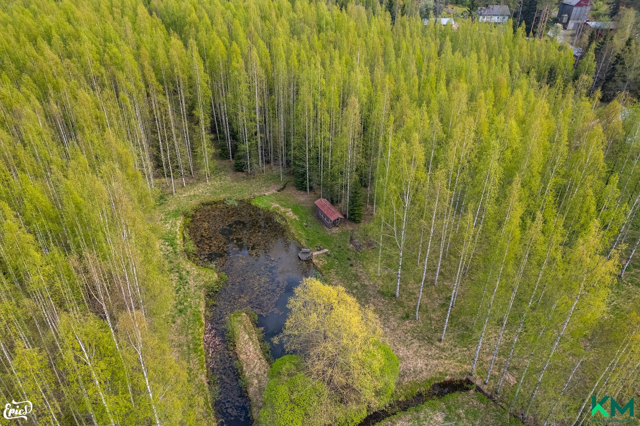 Lampi metsäkiinteistöllä