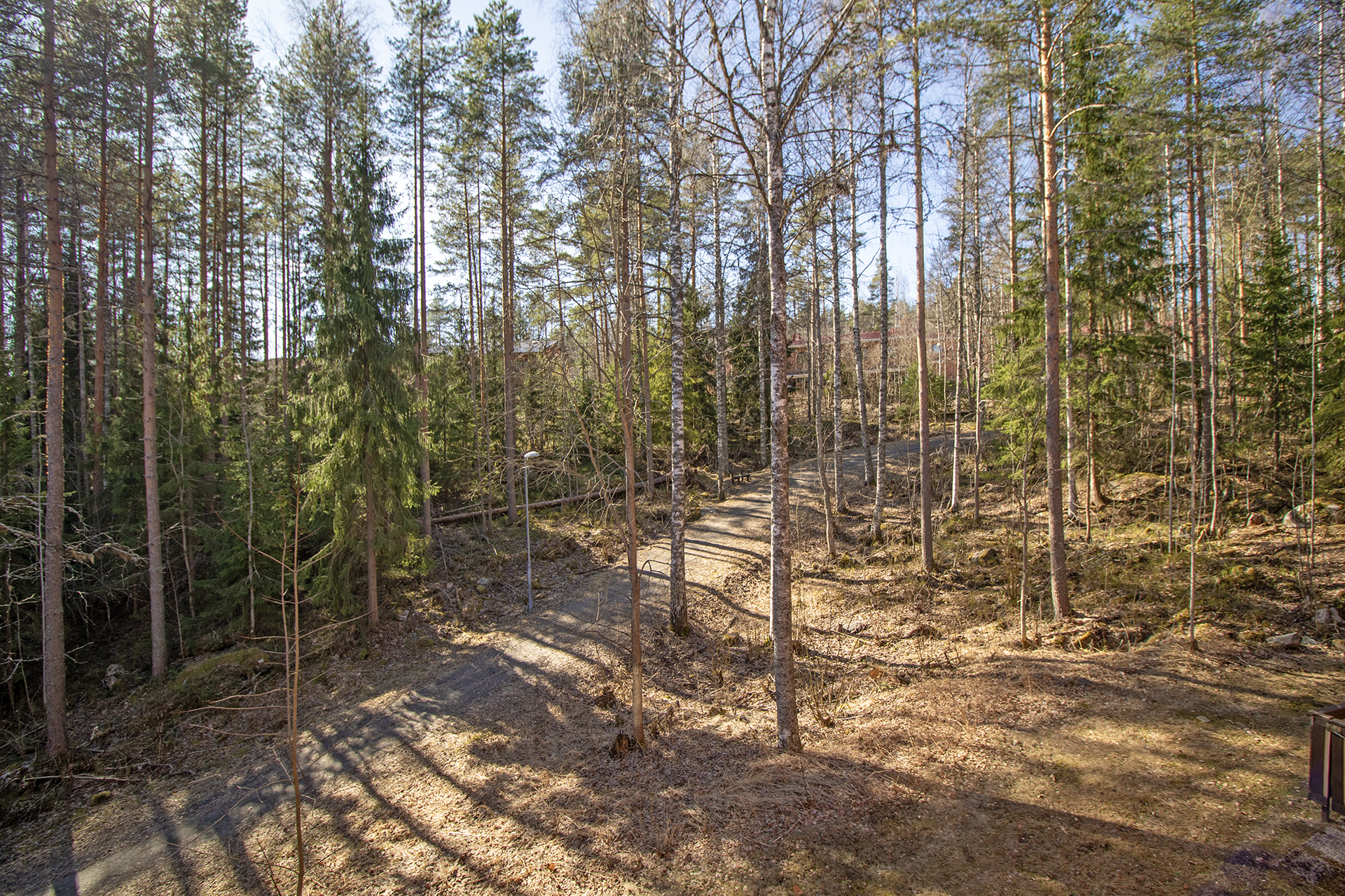 Puistonäkymät parvekkeelta