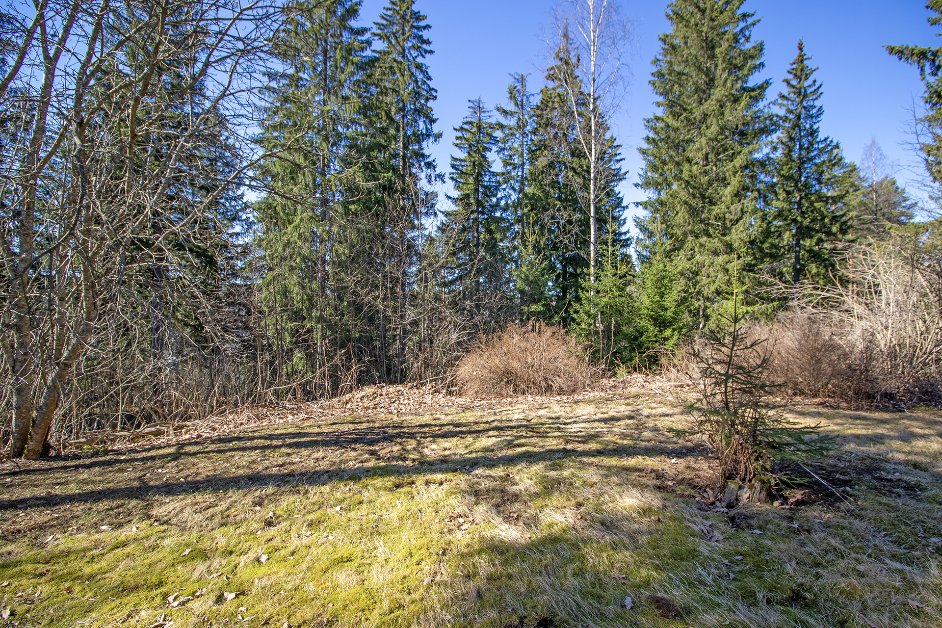 Runkopolku 14, Honkamäki, Siilinjärvi