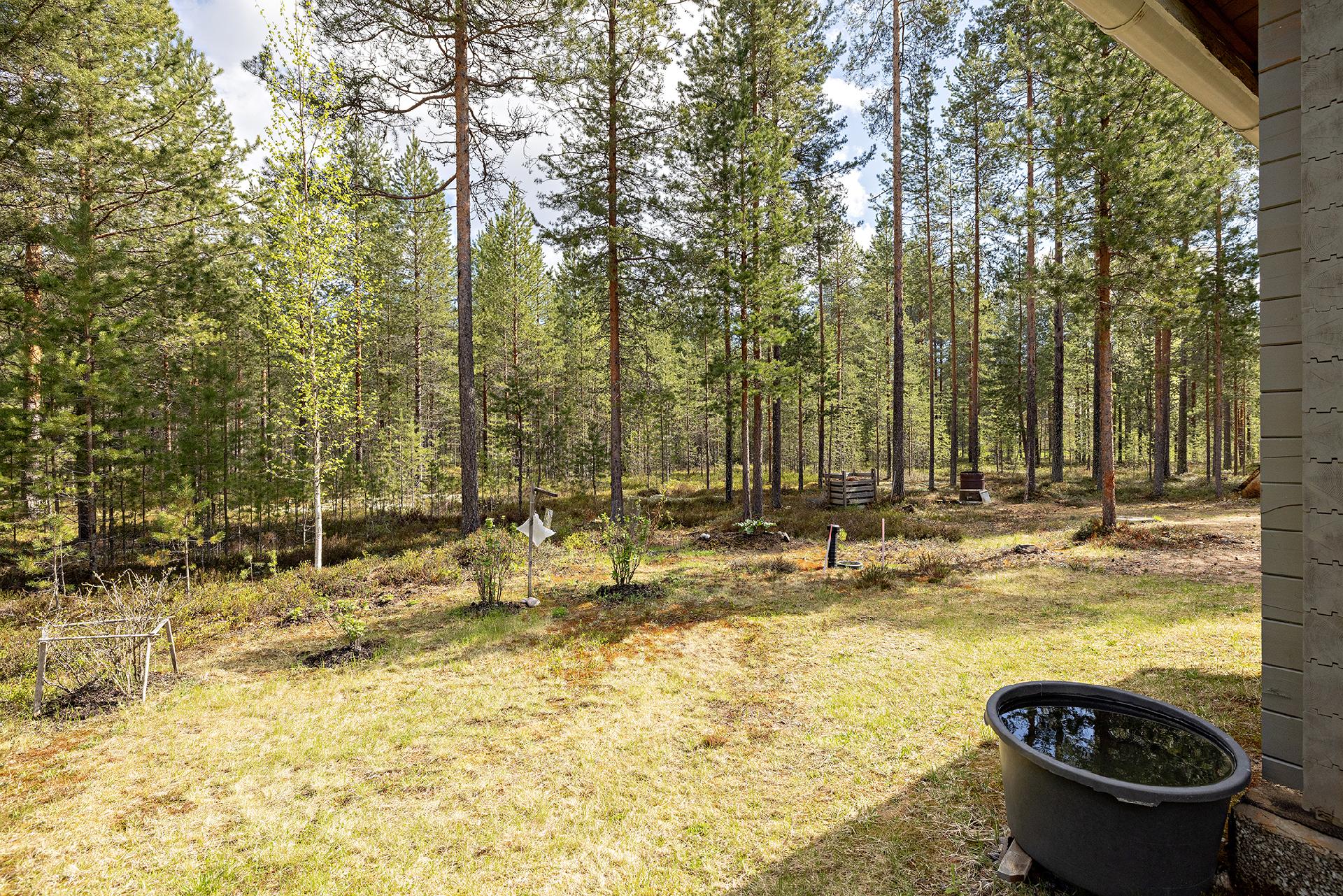 Mutkatie 4, Säräisniemi, Vaala