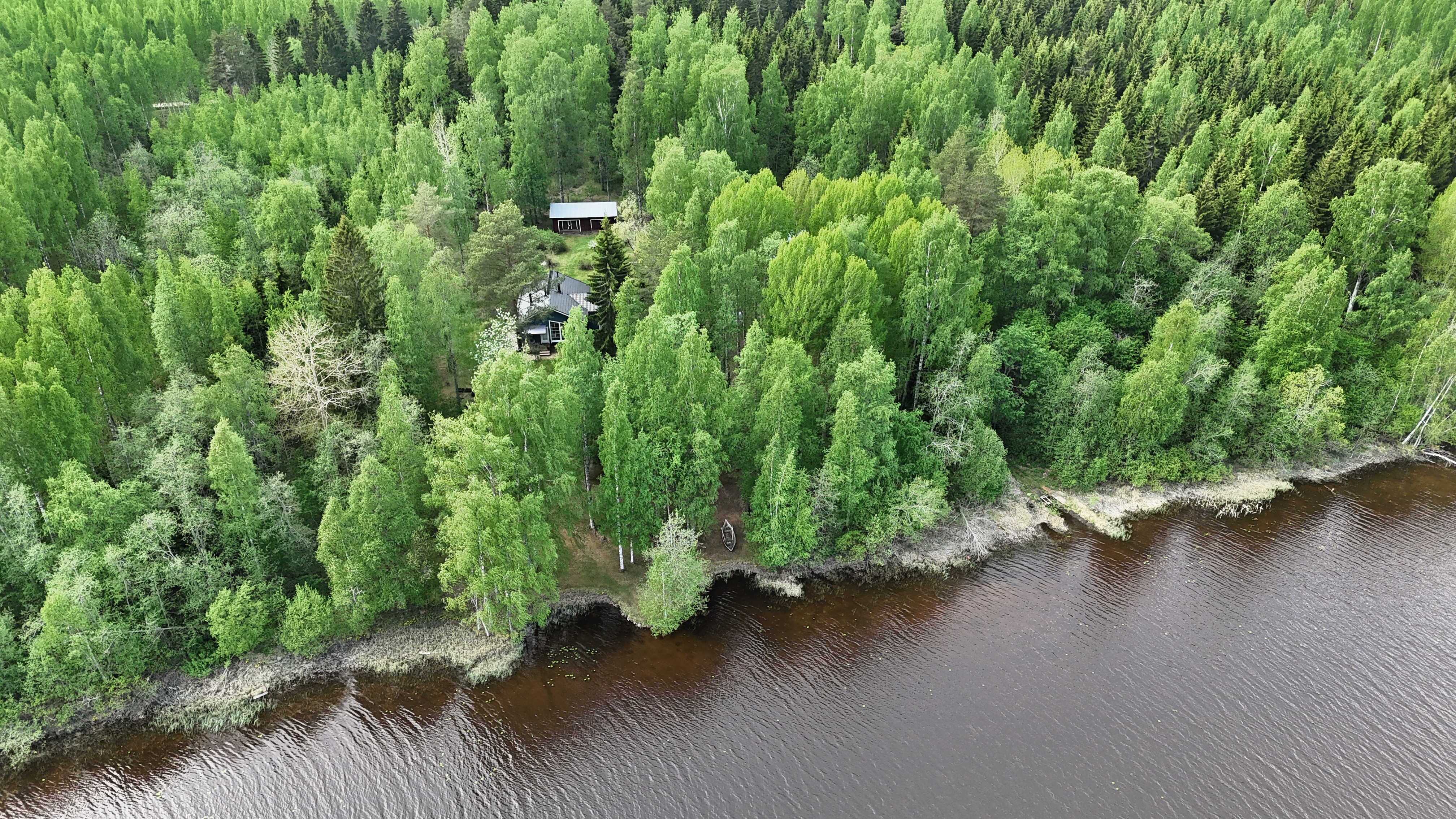 Vasaraniementie 19, Polvijärvi