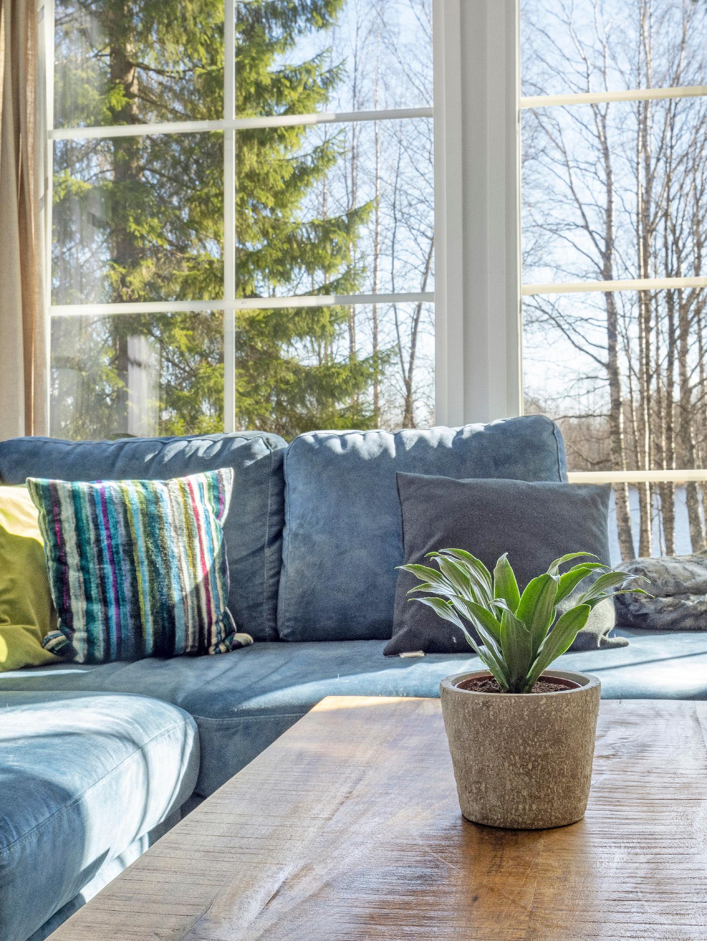 Vasaraniementie 19, Polvijärvi