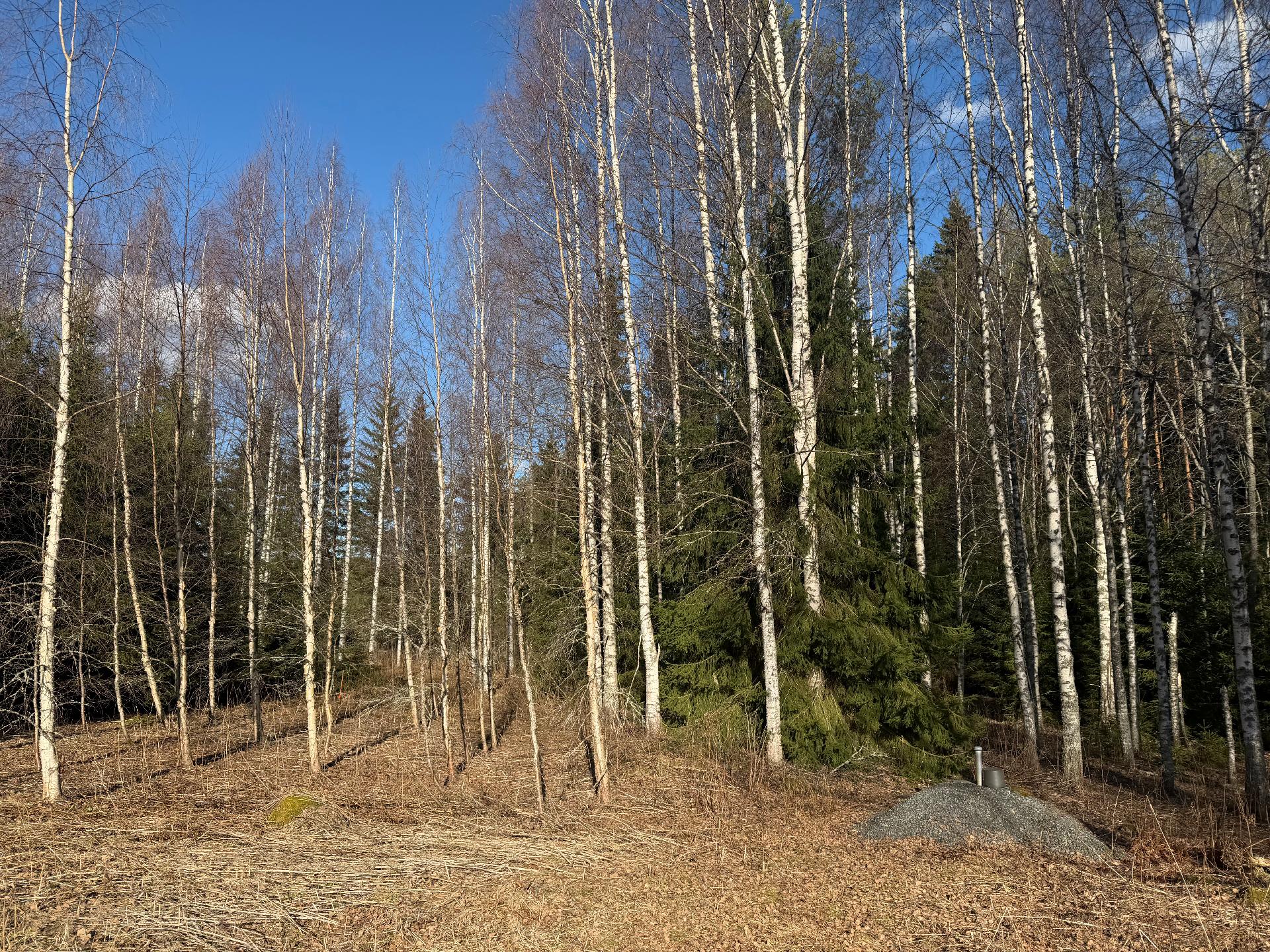 Etelä-Mäkiahontie 24, Juva