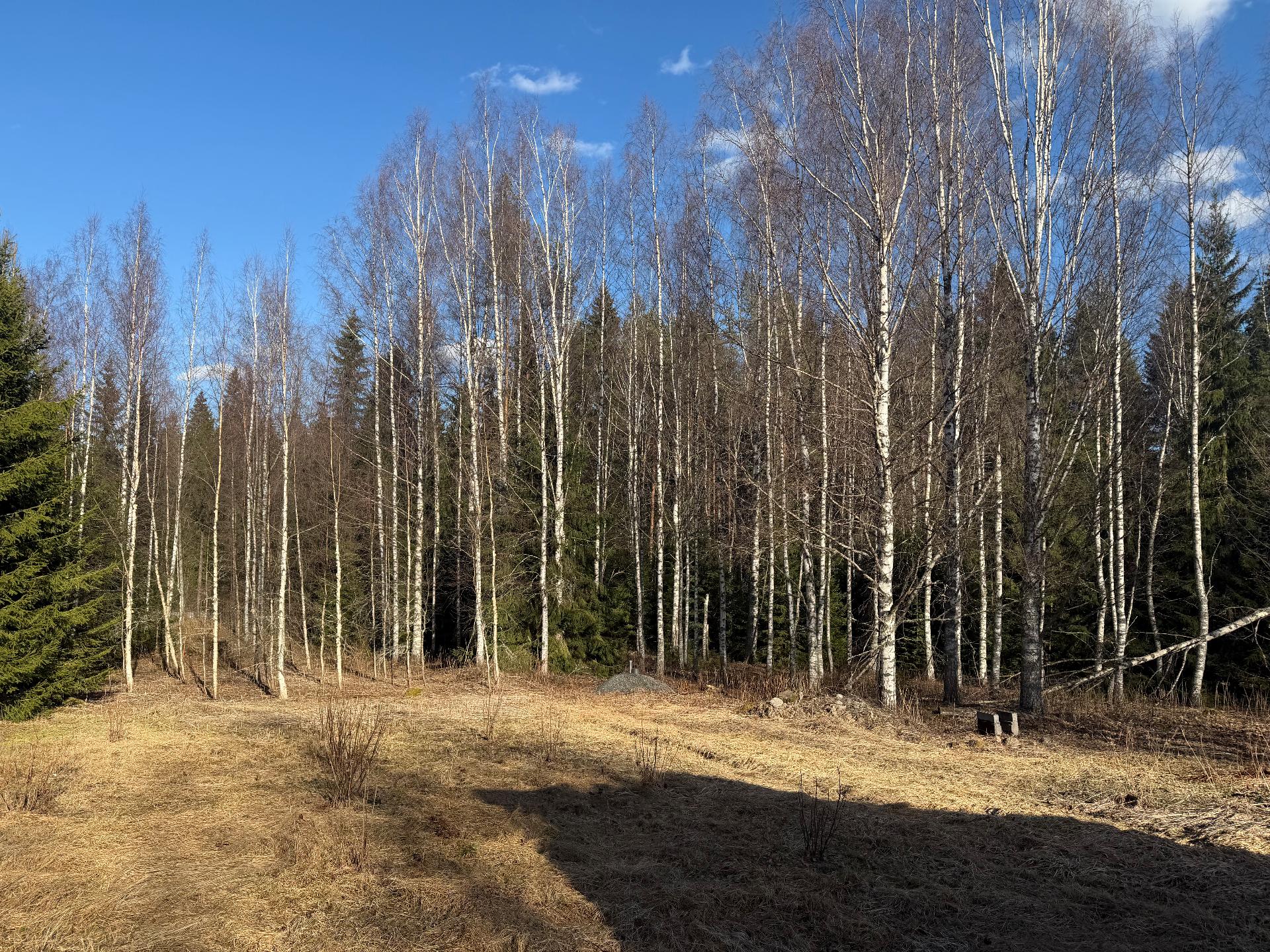 Etelä-Mäkiahontie 24, Juva