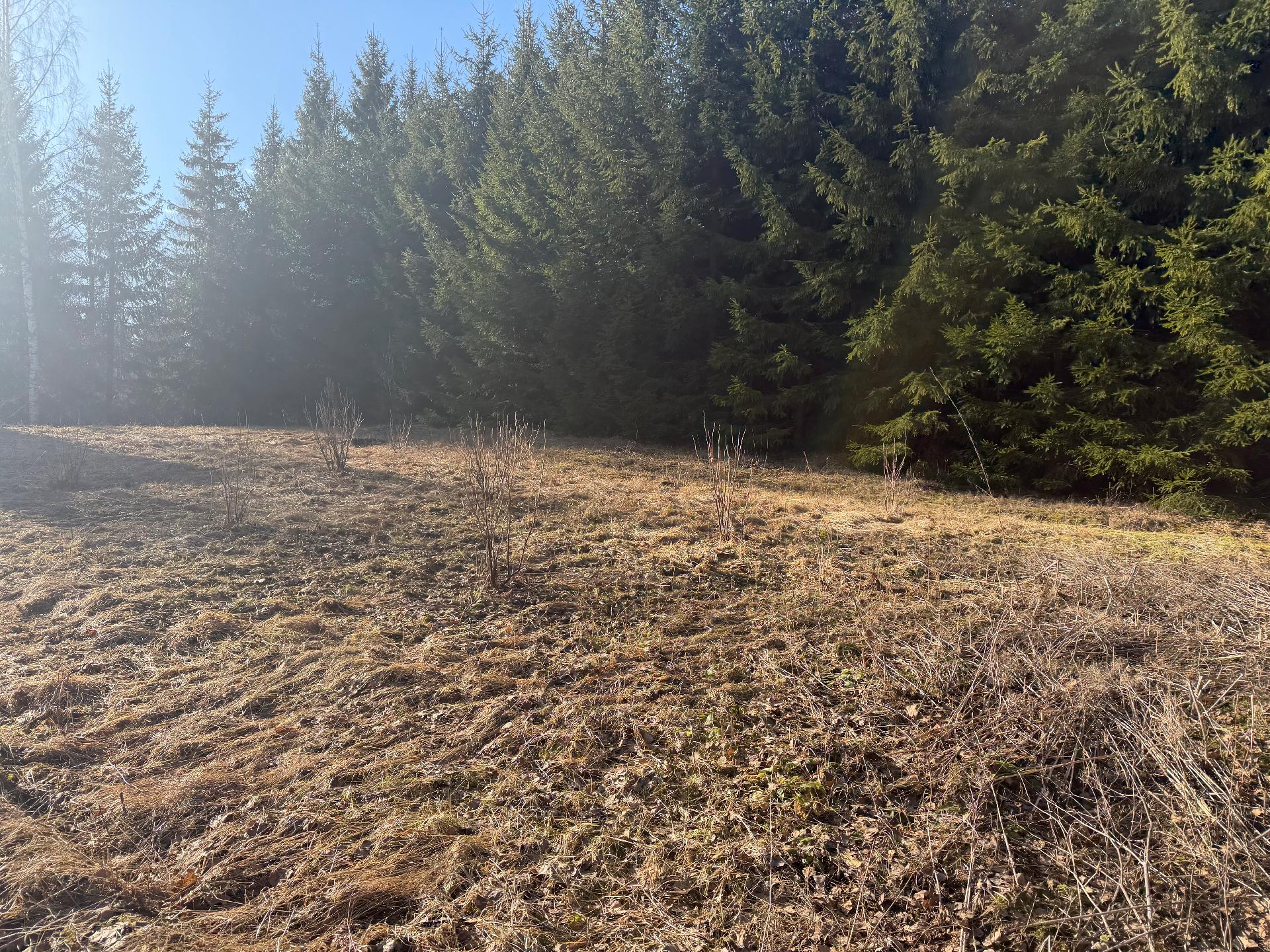 Etelä-Mäkiahontie 24, Juva