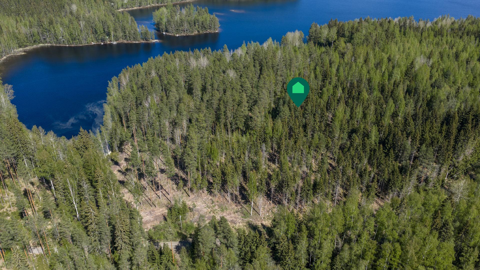 tontilla runsas puusto