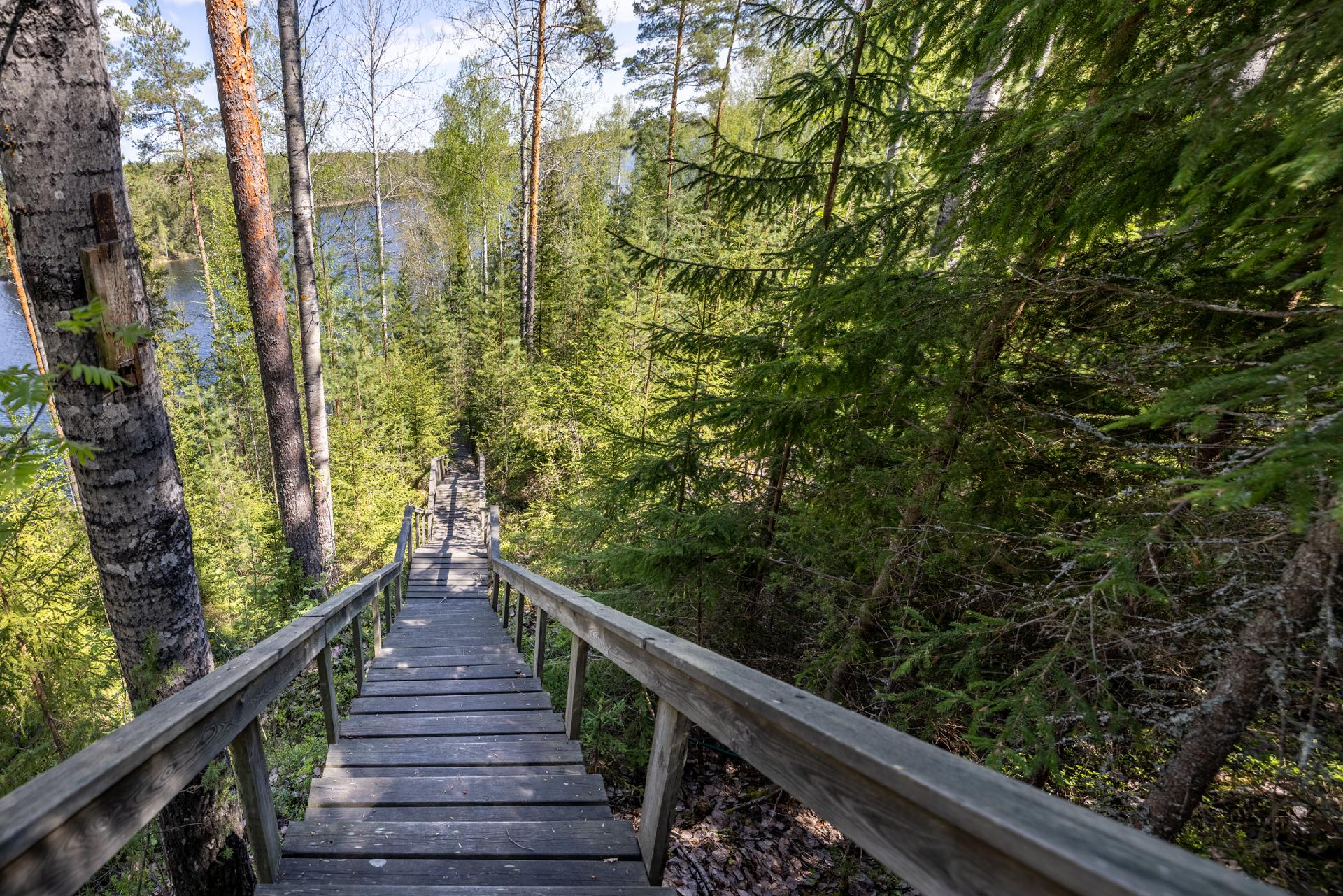 ylämökin edestä portaita alas, saunamökille
