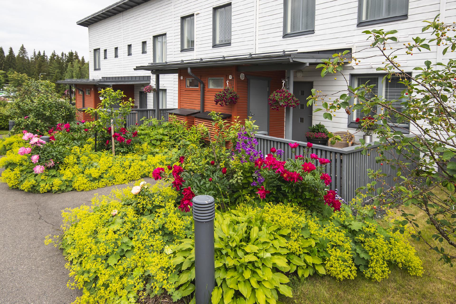 Kotilokatu 11, Saaristokaupunki, Kuopio