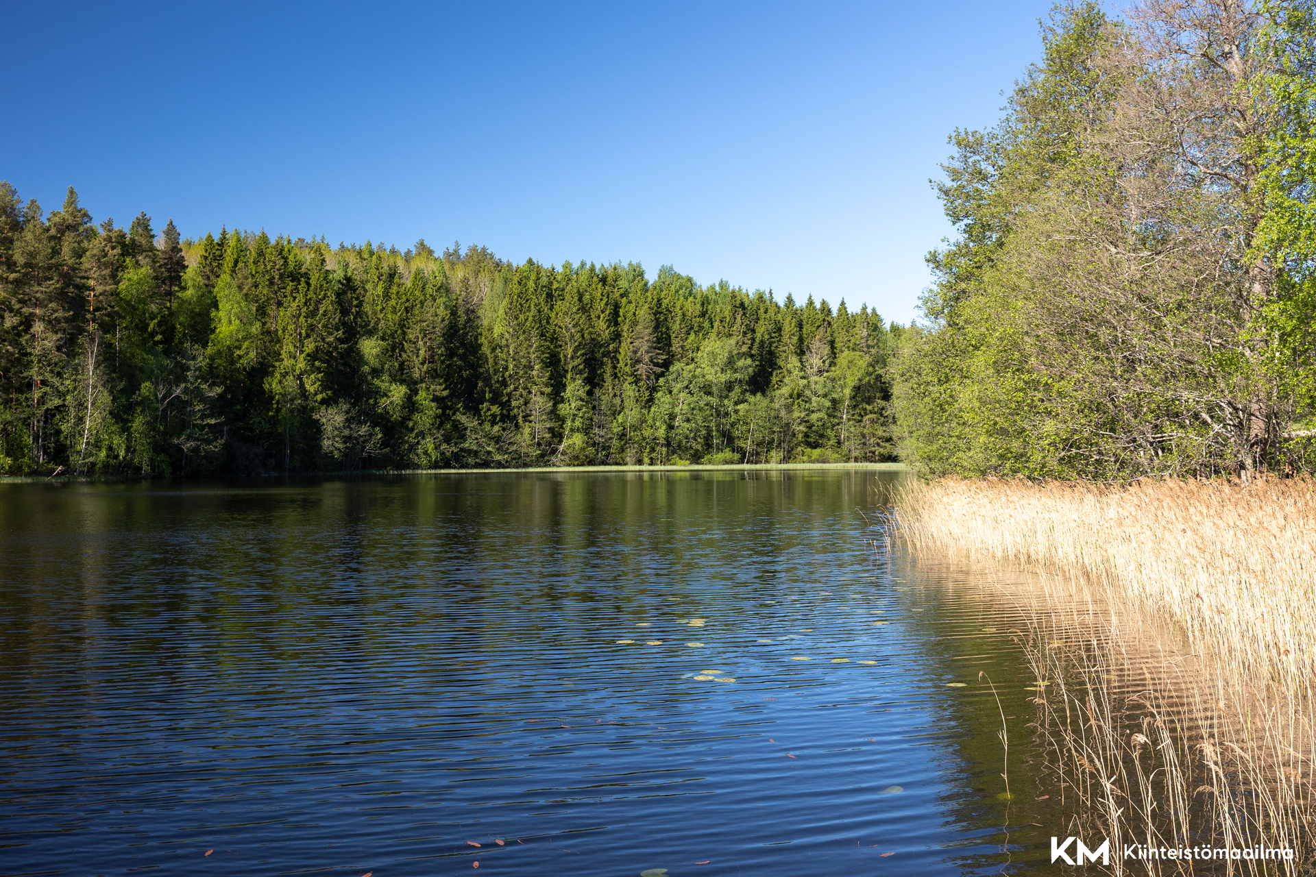 Antaverkantie 116, Antaverkka, Ylöjärvi