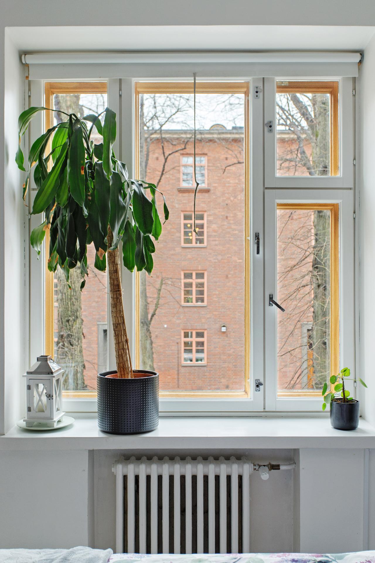 Arkadiankatu 37, Etu-Töölö, Helsinki