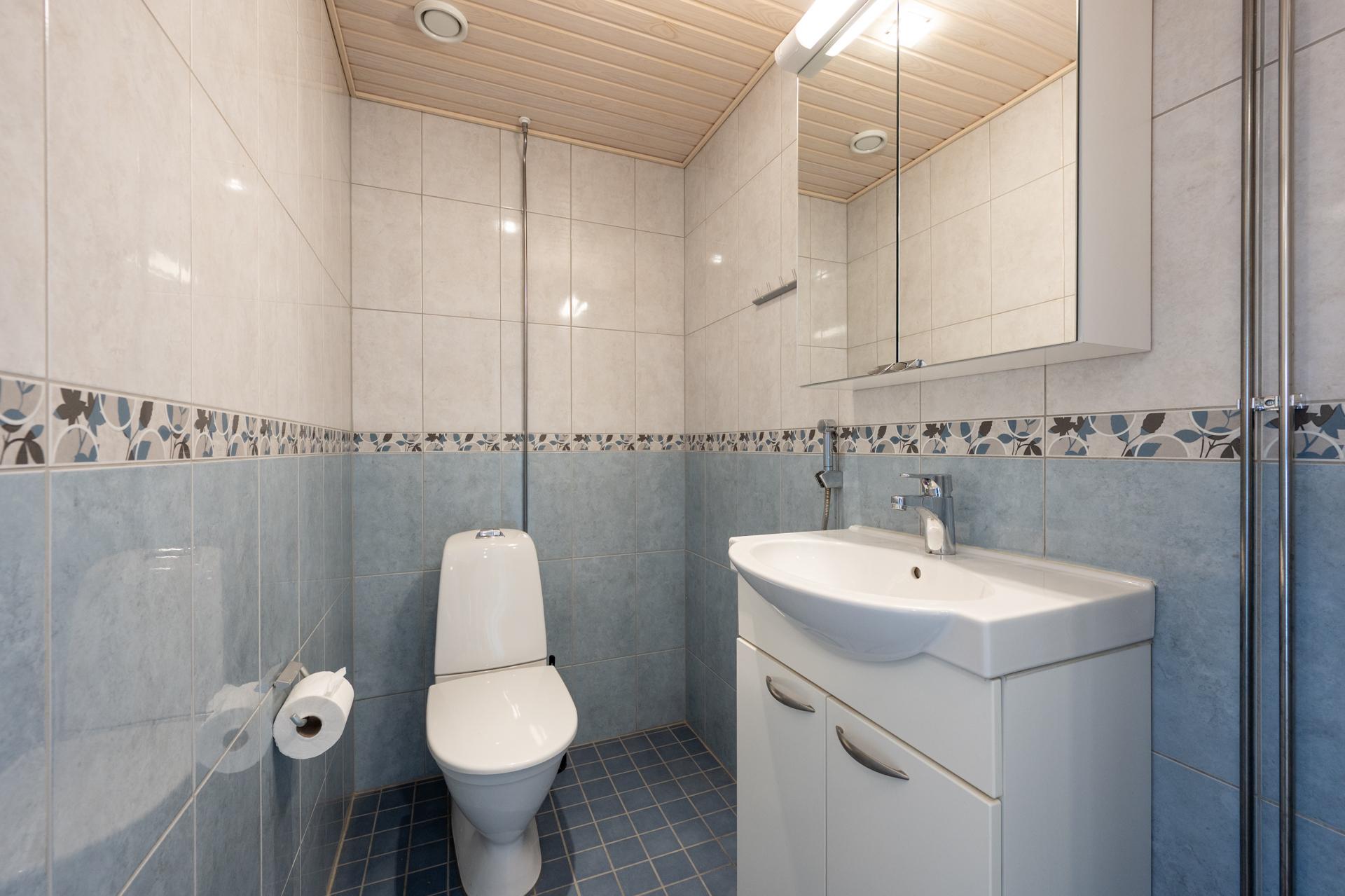 Erillinen tilava wc missä tilaa isommallekin kylpyhuonekalusteelle.