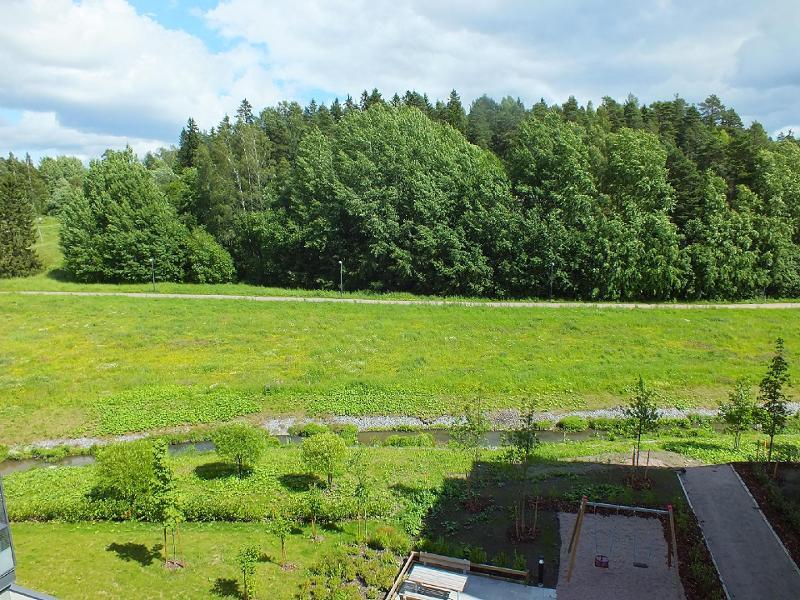 Keskustassakin on kesäisin vehreät näköalat 