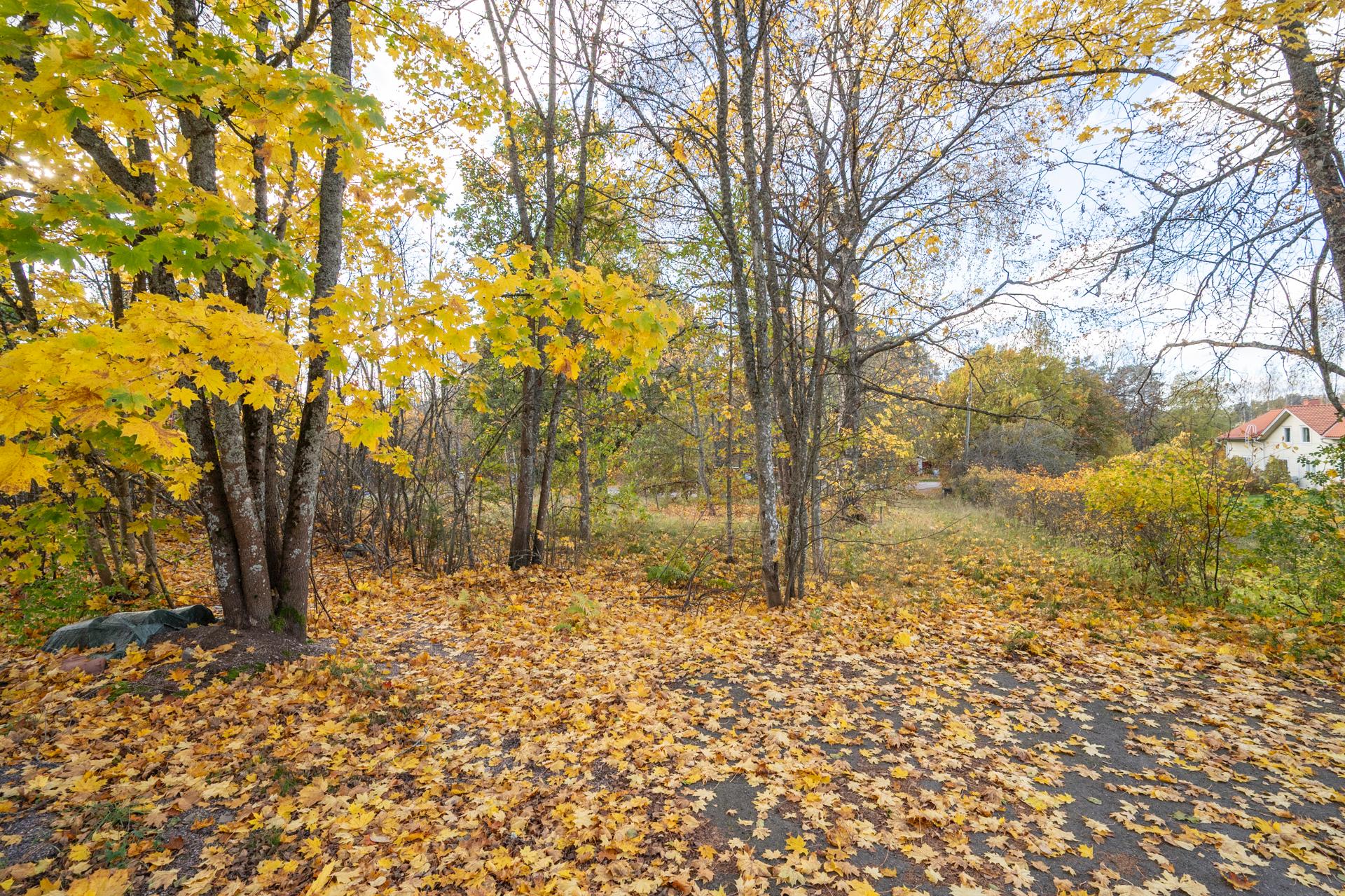 Espoonlahdentie 16, Soukka, Espoo