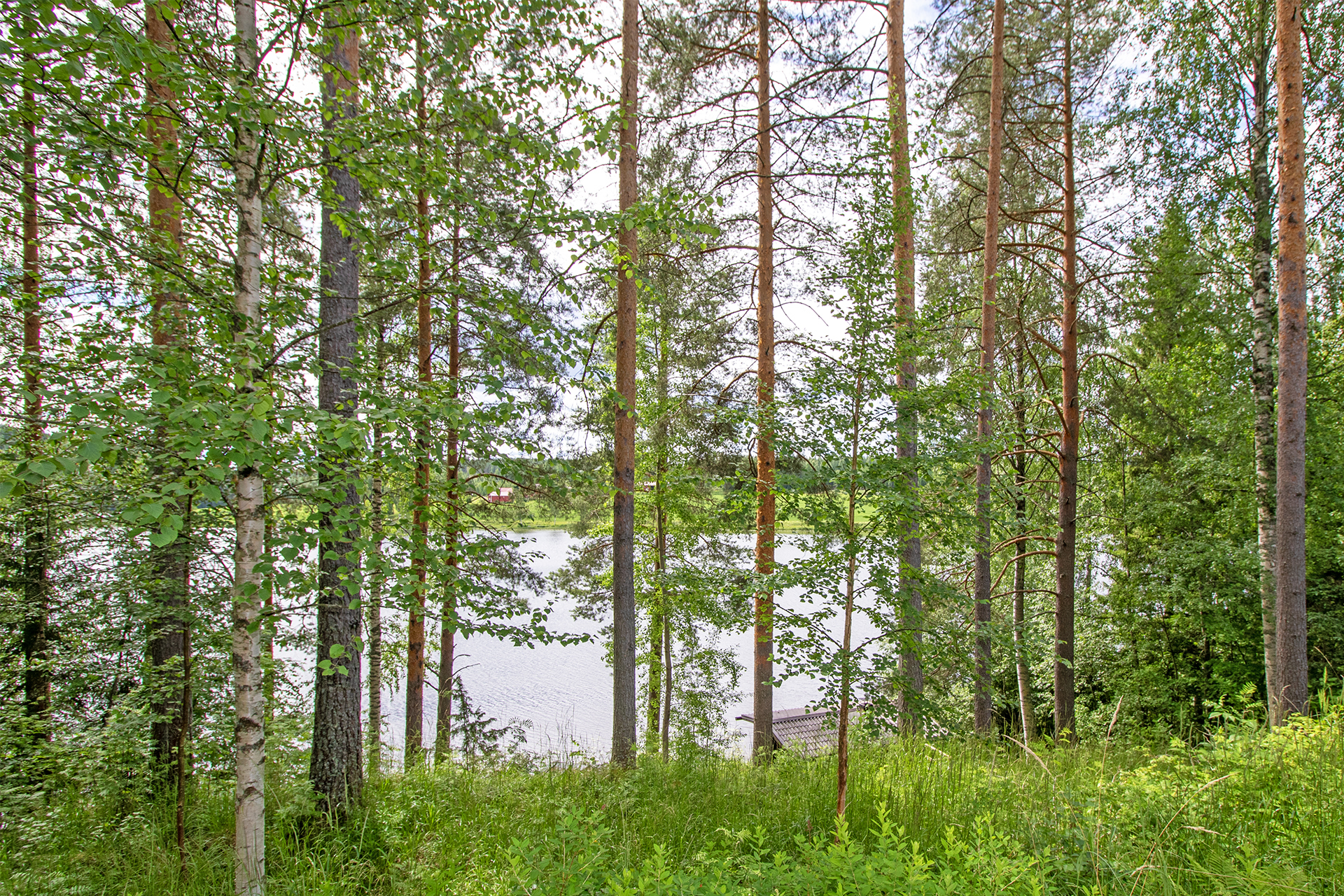 Jokiniementie 152, Räimä, Siilinjärvi