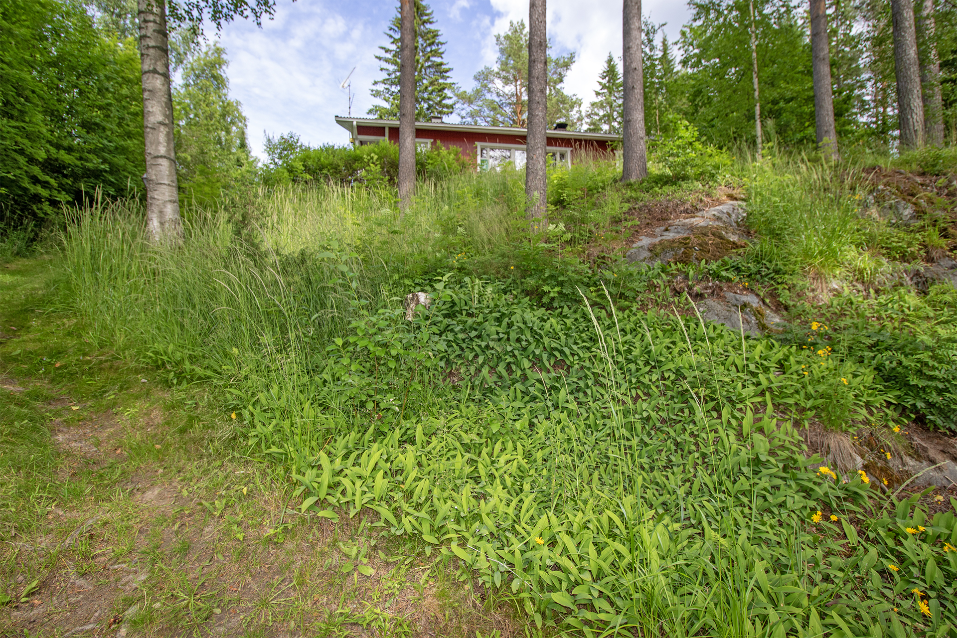 Jokiniementie 152, Räimä, Siilinjärvi