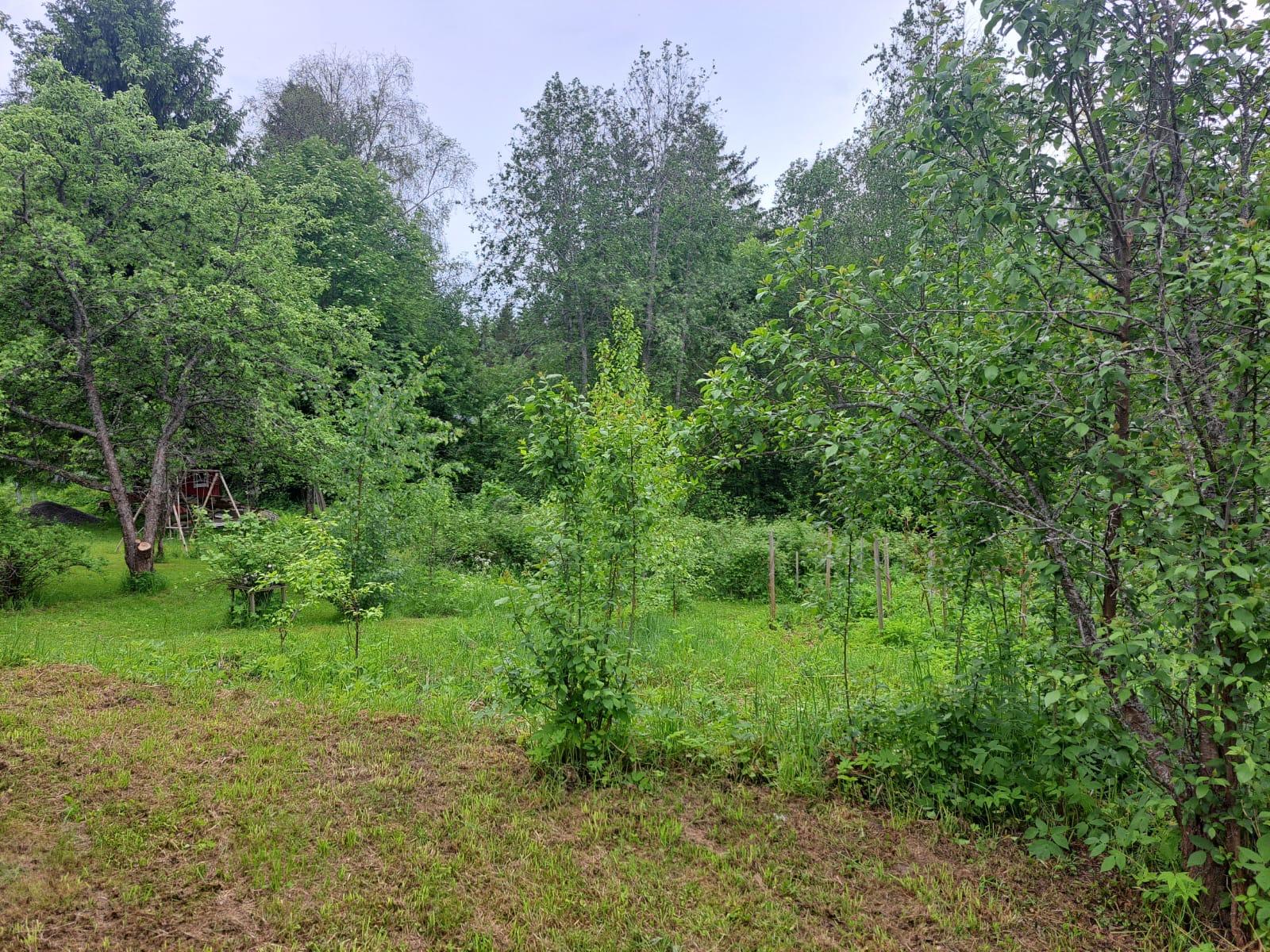 Akkalantie 20, Otava, Mikkeli