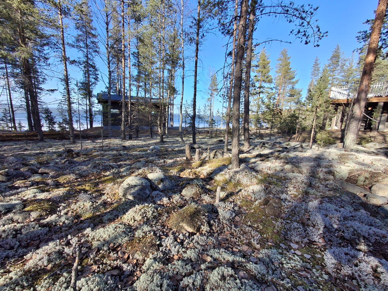 Eenokinlahdentie 19, Onttola, Kontiolahti