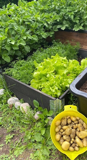 Rensselinkuja 1, Hönttämäki, Oulu