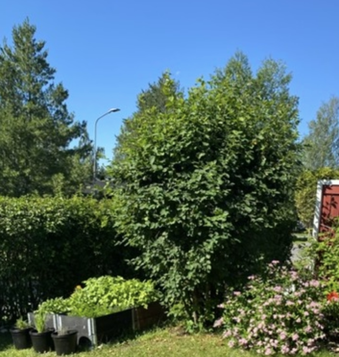 Rensselinkuja 1, Hönttämäki, Oulu