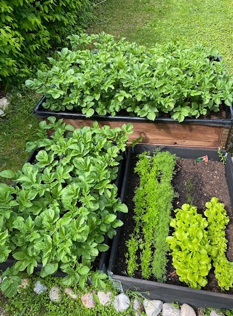 Rensselinkuja 1, Hönttämäki, Oulu