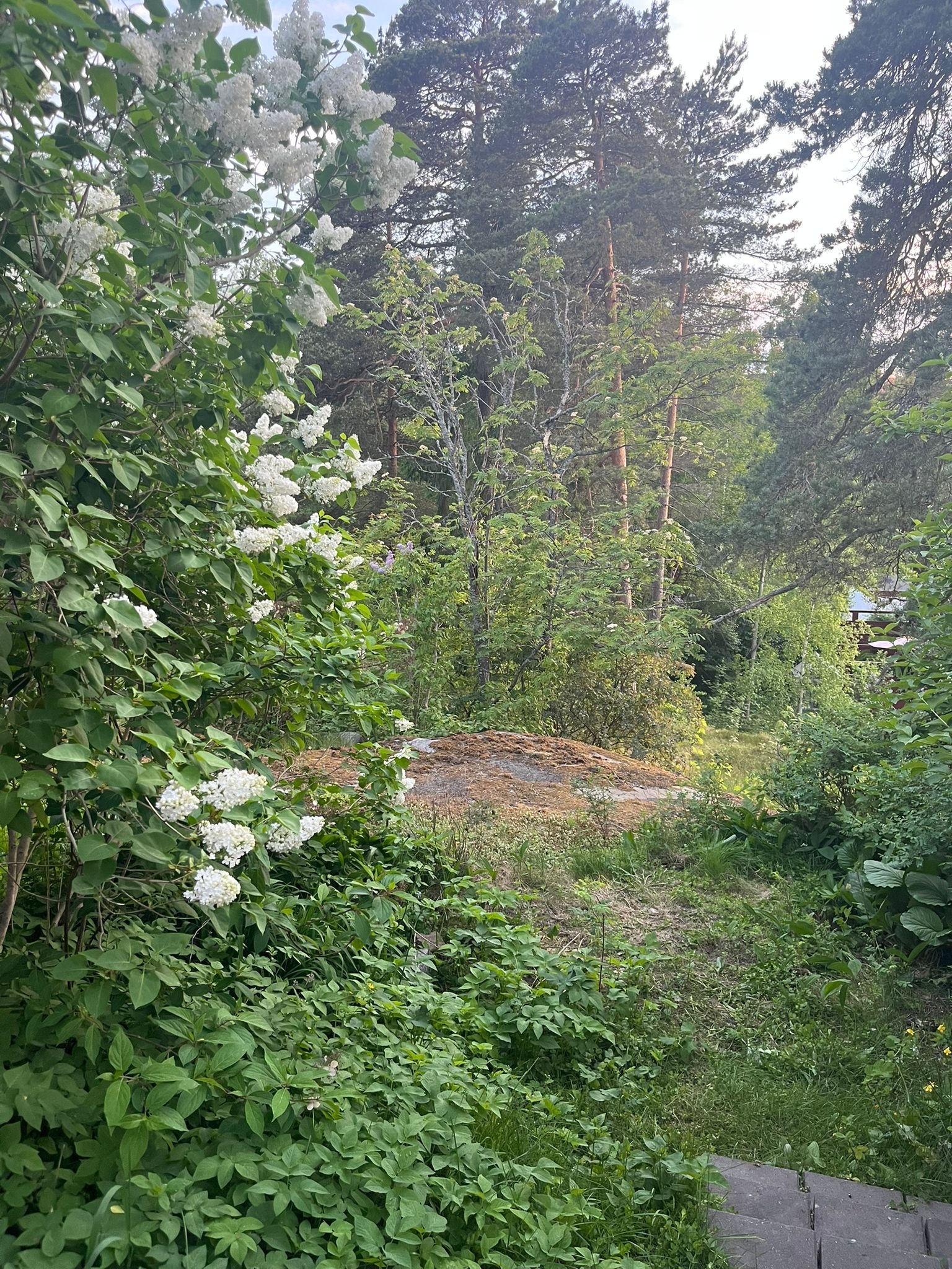 Reiherintie 2, Laajasalo, Helsinki