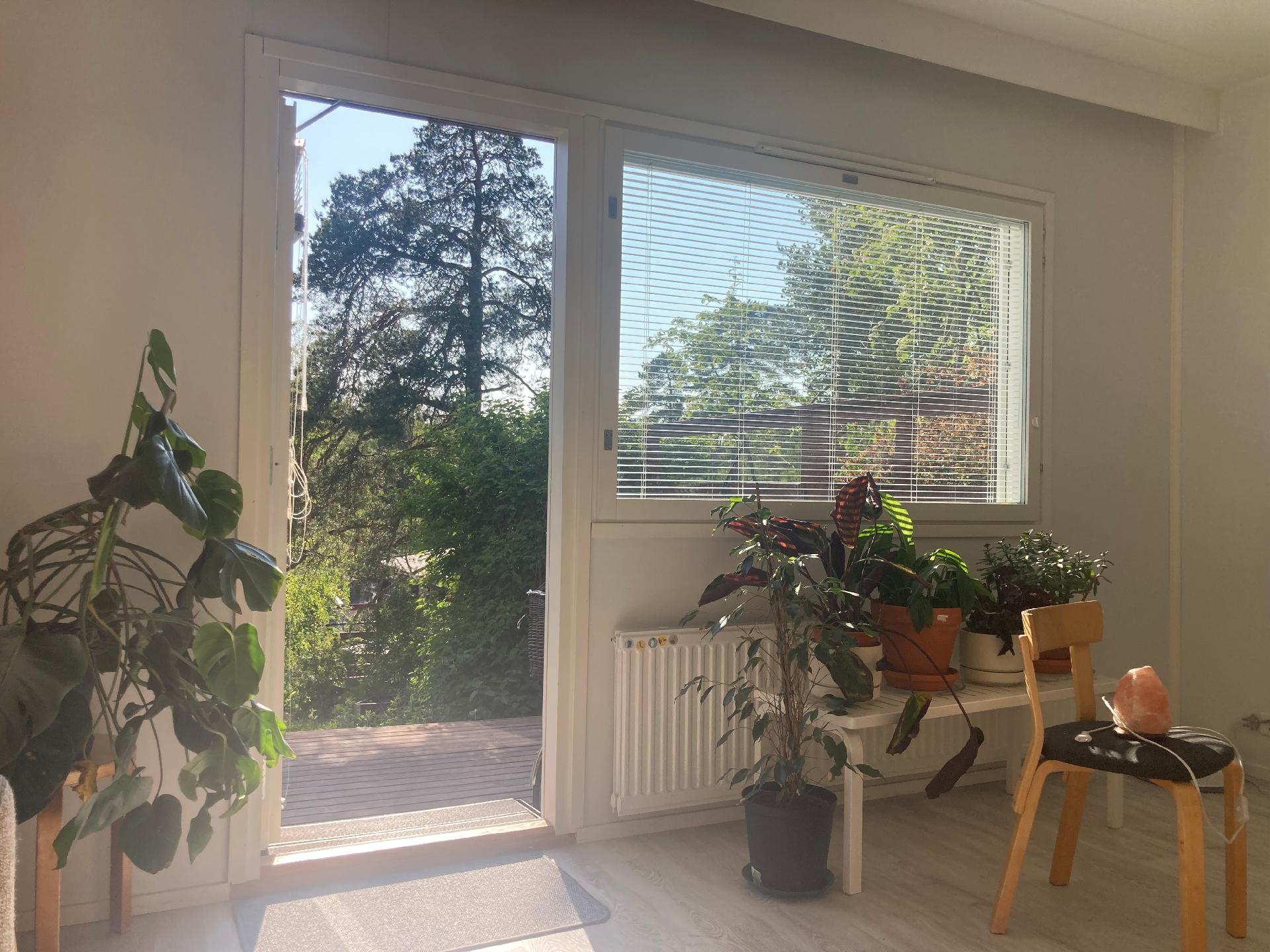 Omistajan ottama kuva