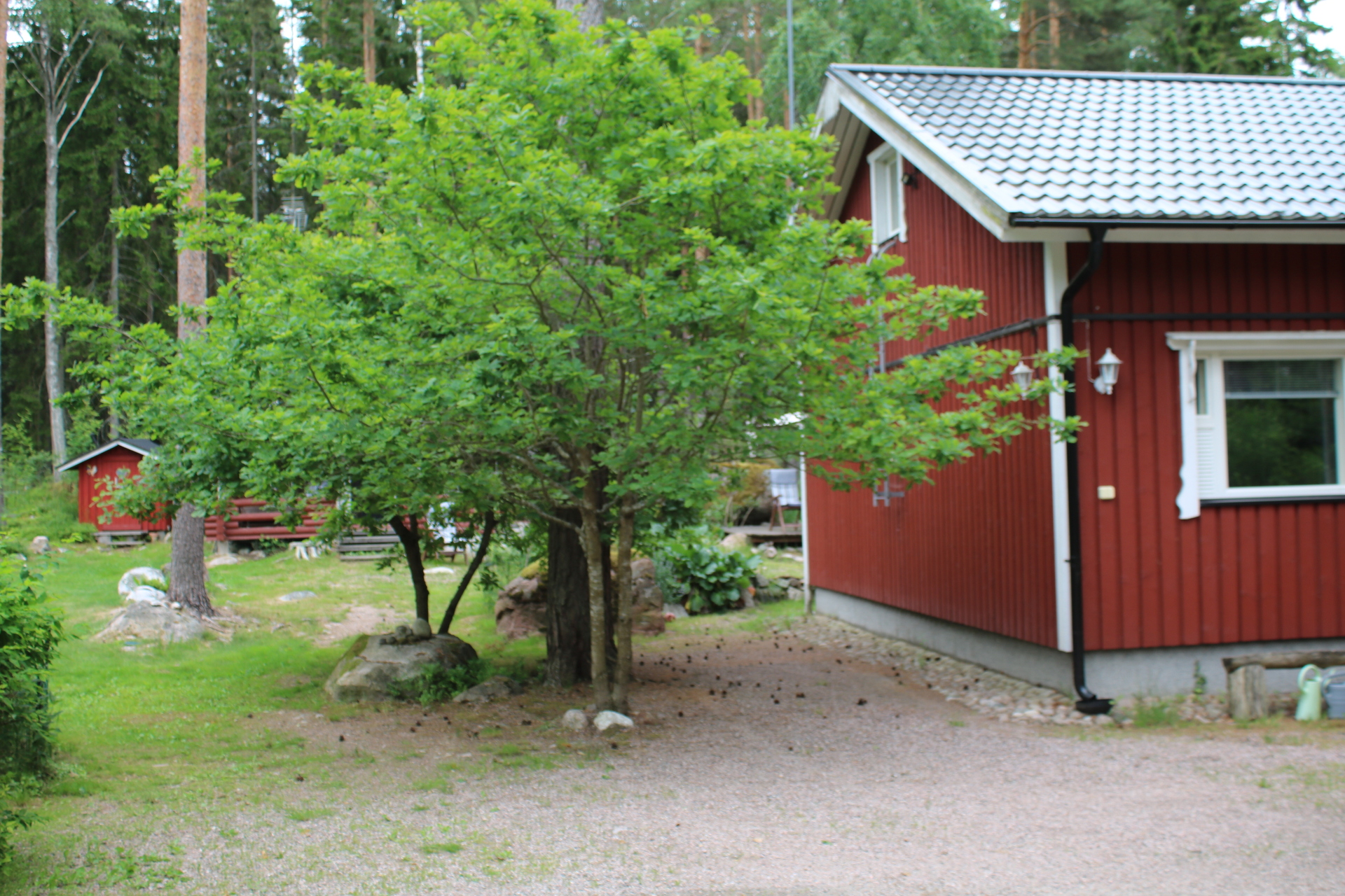 Sivupiha kesällä