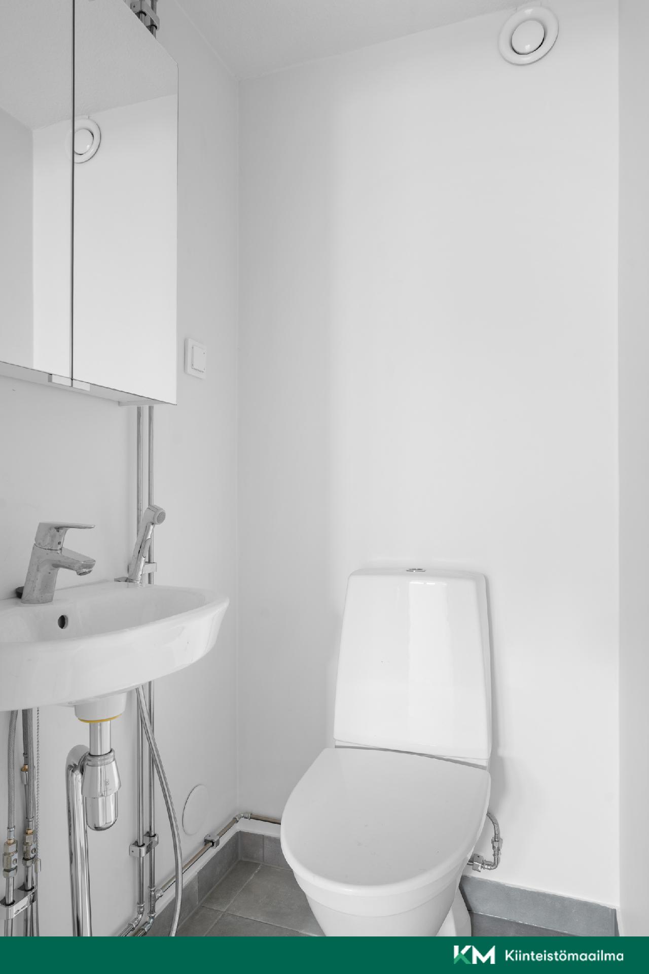 Kellarikerroksen erillinen wc