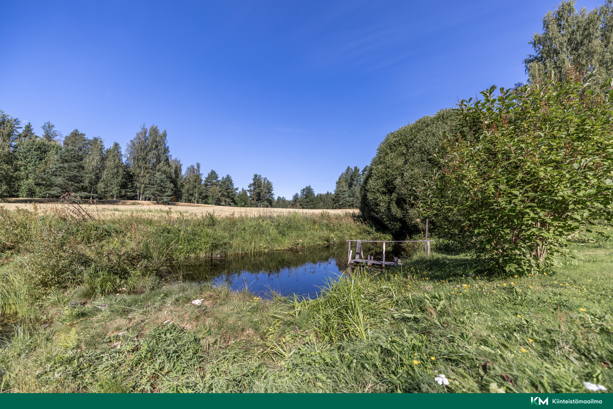 Sieraniementie 8, Mäntyharju