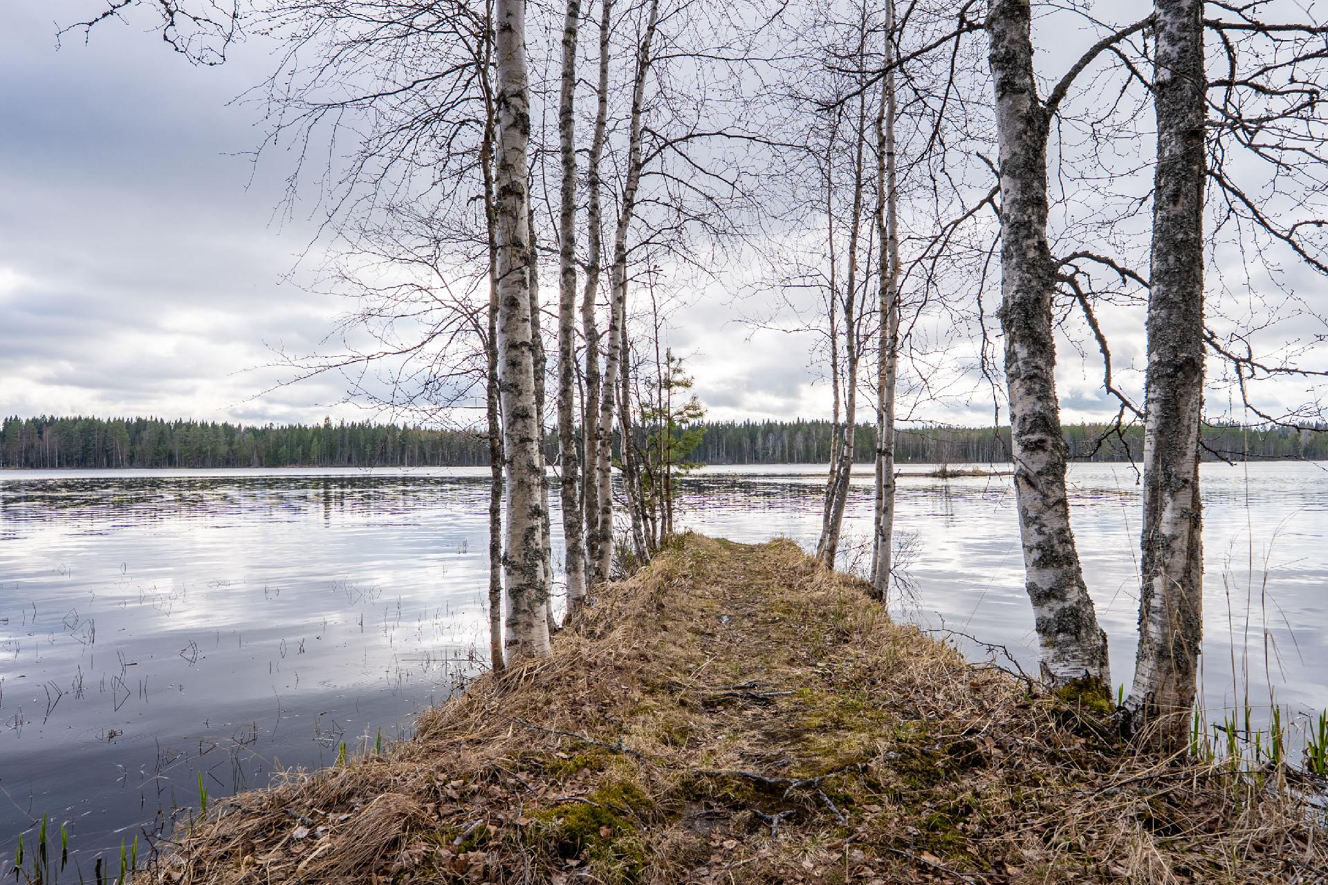 Rapakontie 391, Syvänniemi, Kuopio
