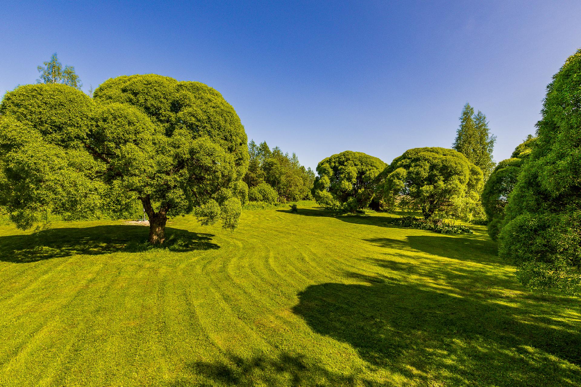 Ylämyllyntie 46, Ylämylly, Liperi