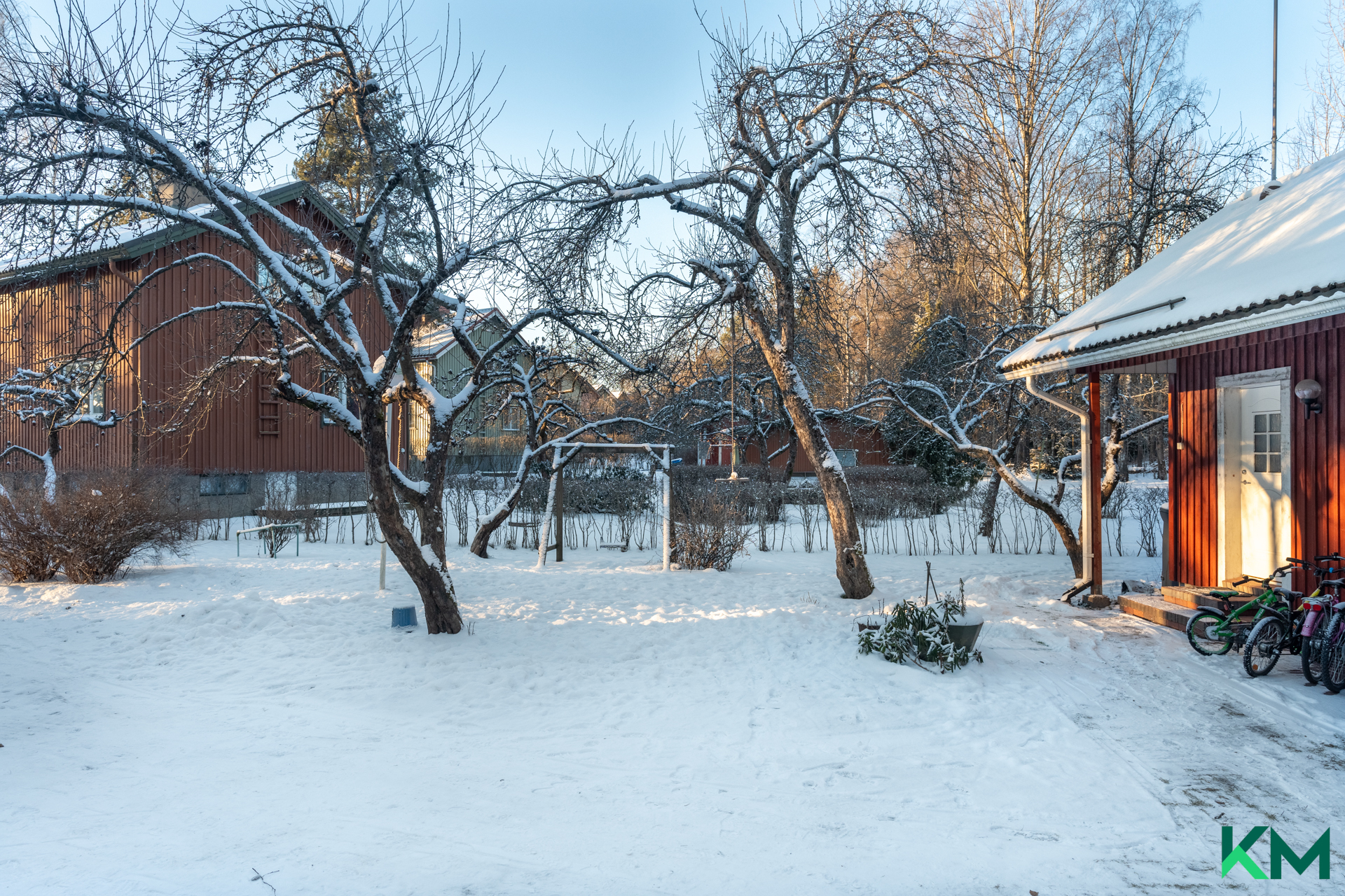 Pihalla paljon omenapuita