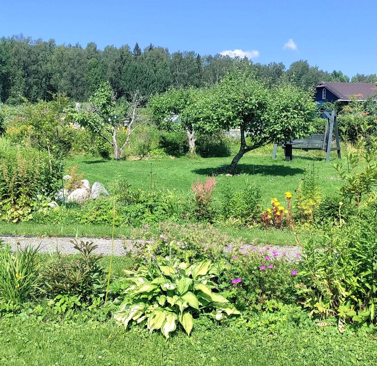 Marjaniemen Siirtolapuutarha, Mustikkatie 131, Marjaniemi, Helsinki