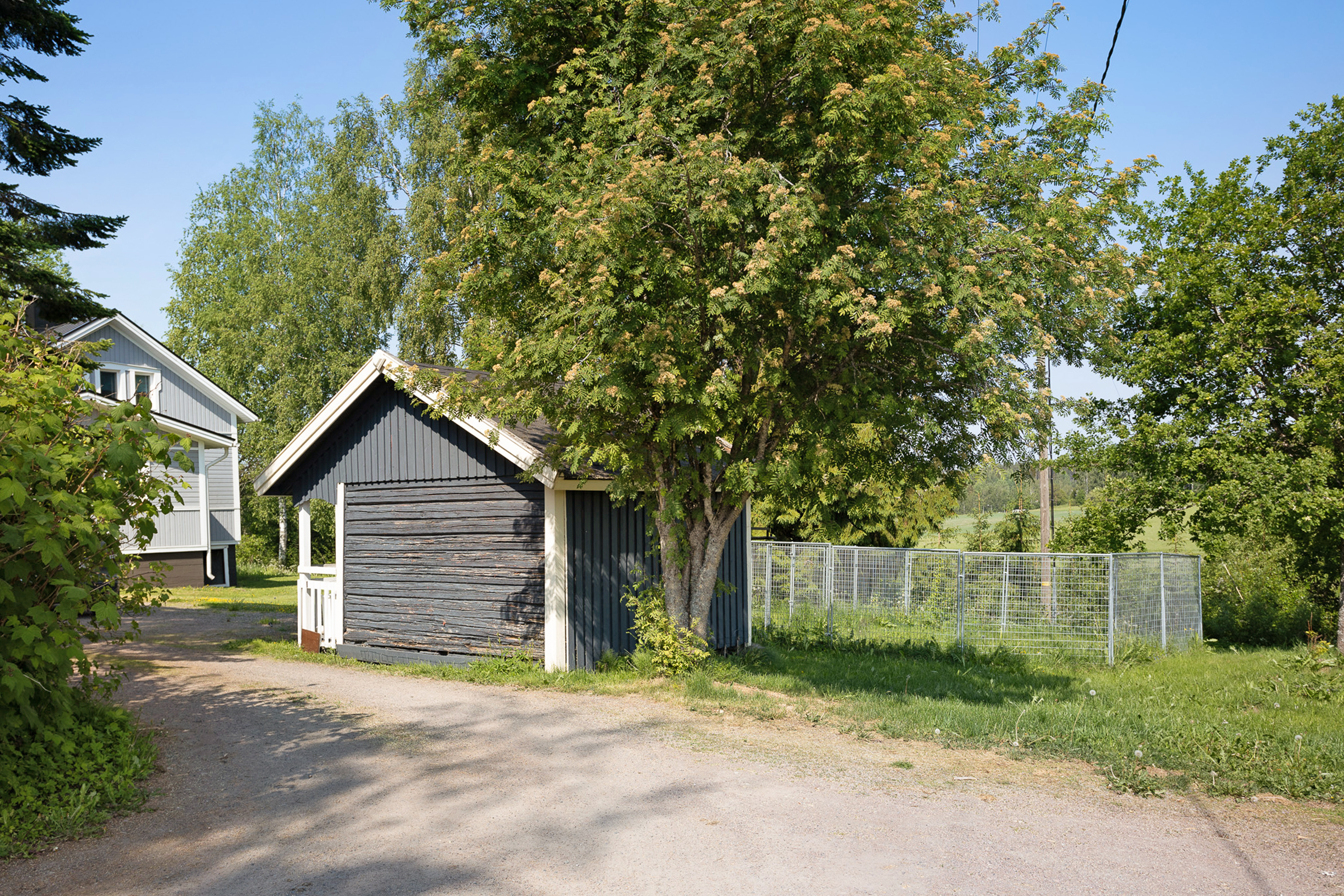Kesäkuvia