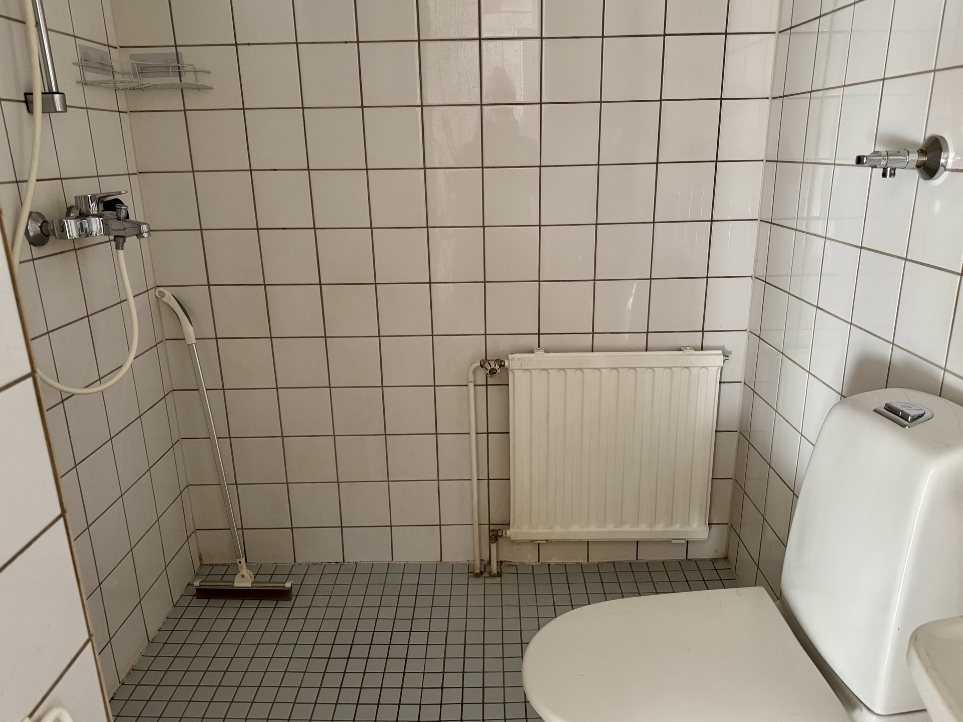Pesuhuone/wc